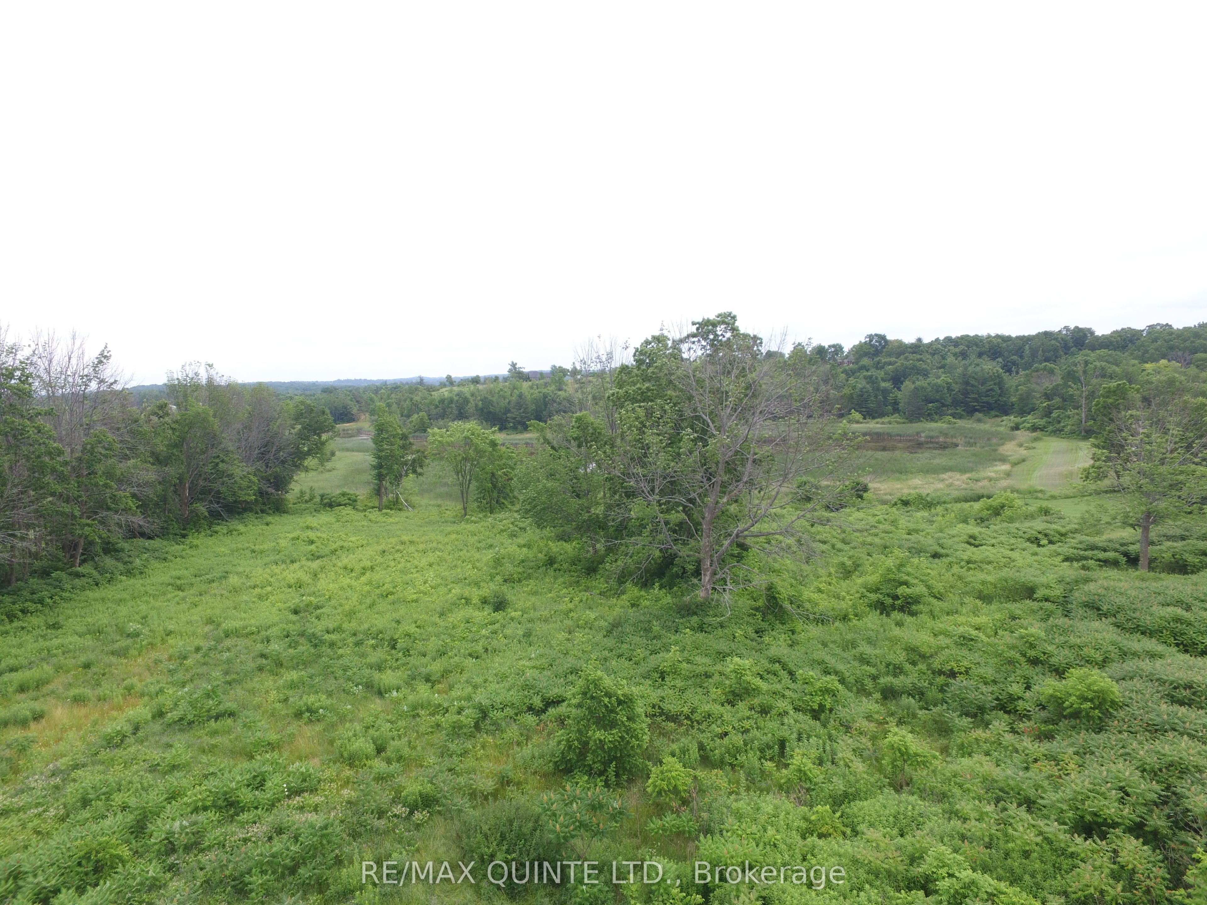 141 Portage Street Property Photo 5