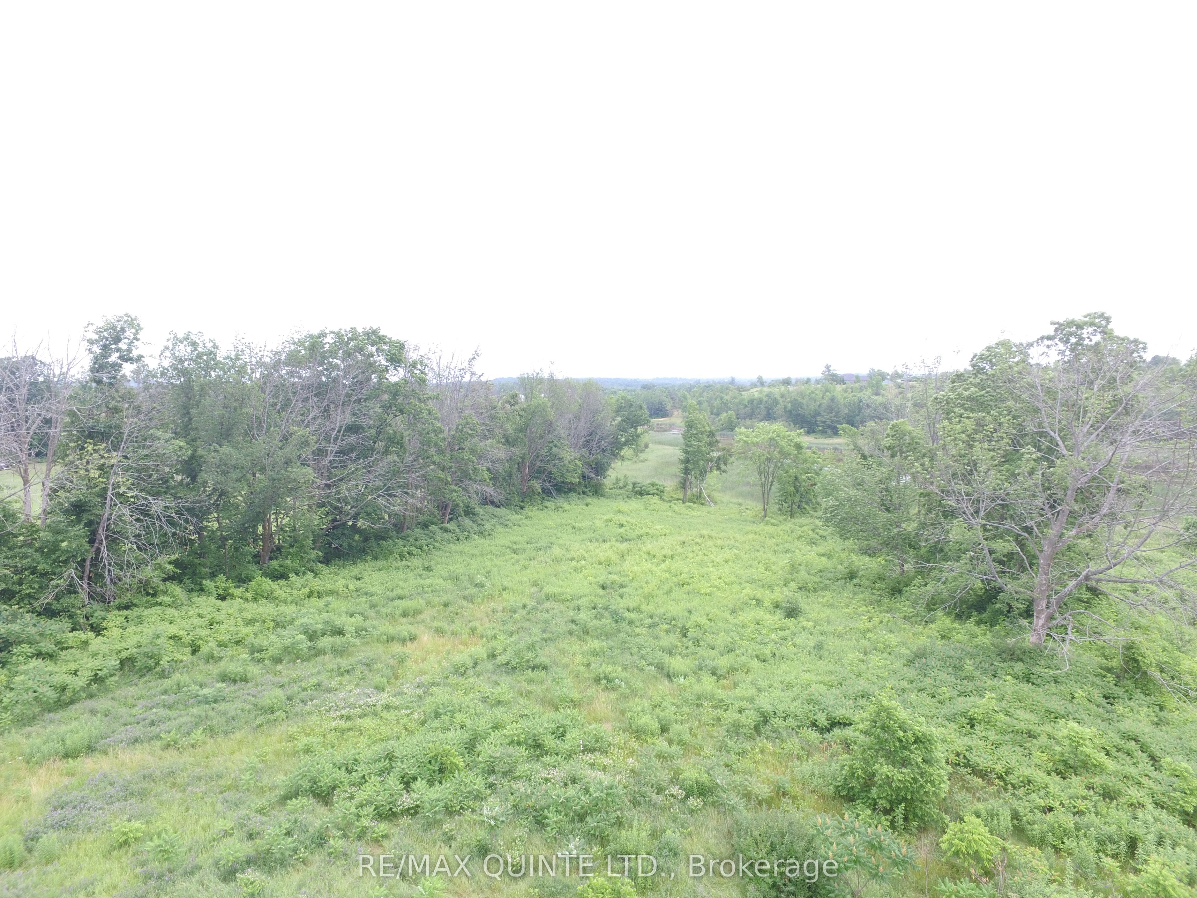 141 Portage Street Property Photo 6