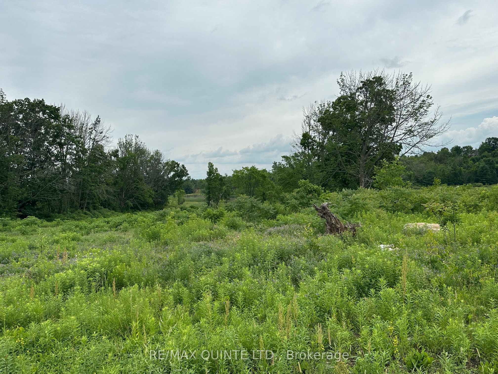 141 Portage Street Property Photo 24