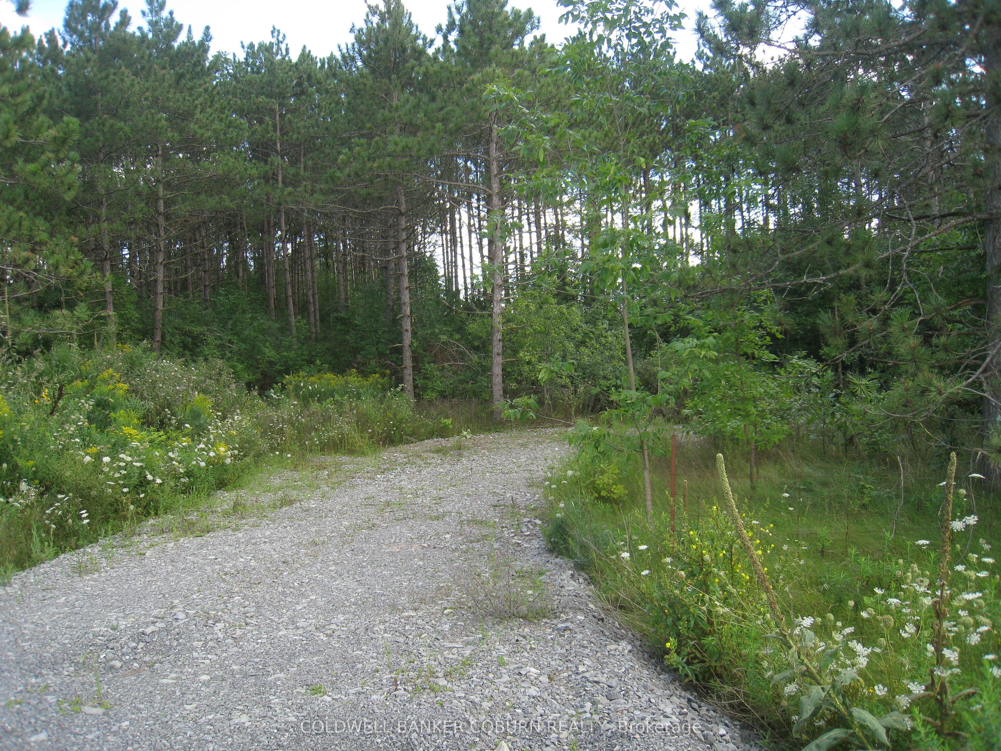 621 Highway 43 Highway W Property Photo 12