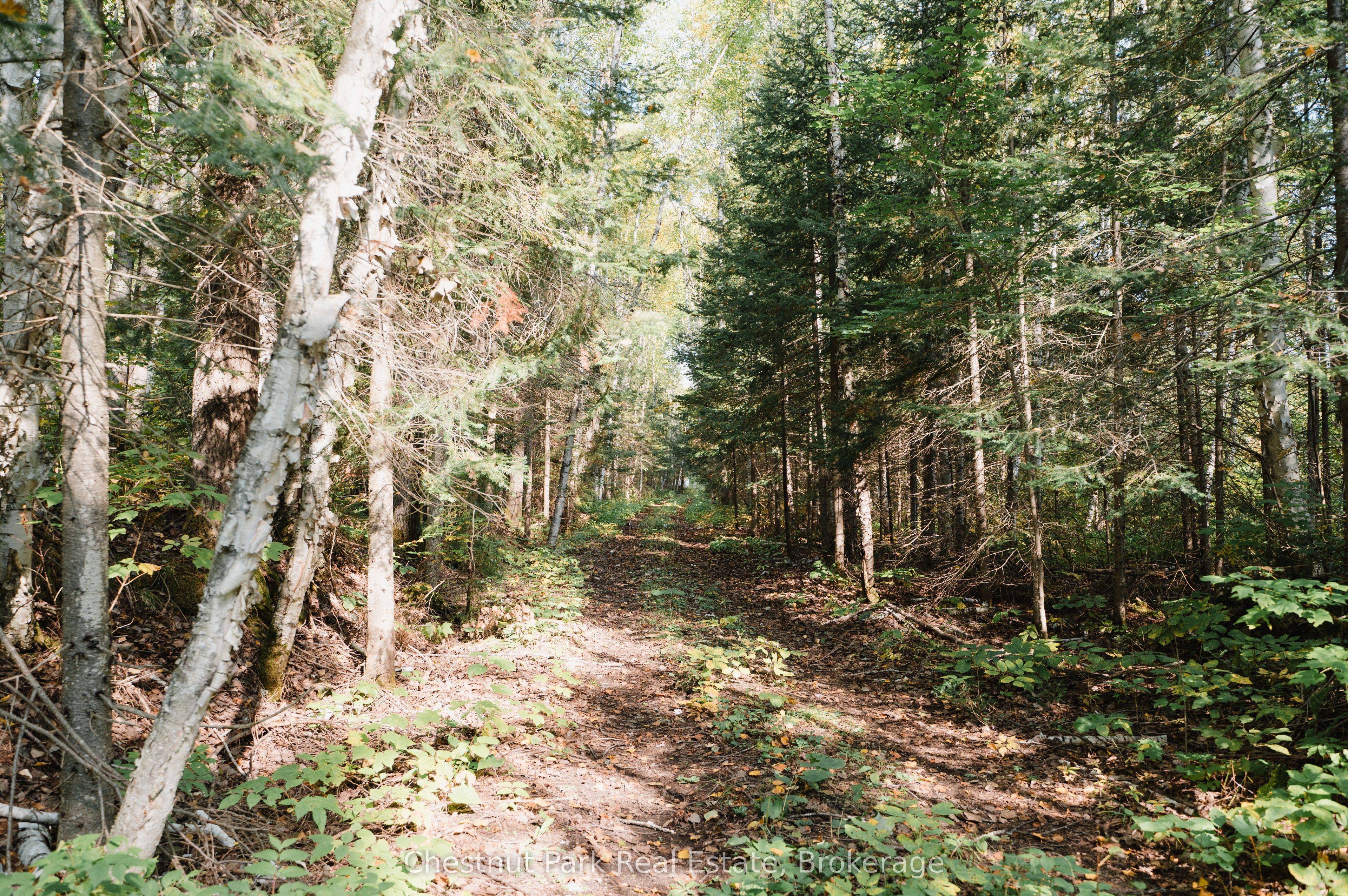 445 Fox Run Property Photo 9
