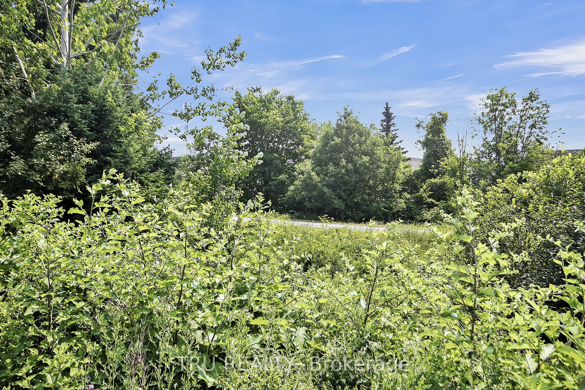 132 Rothesay Drive Property Photo 46