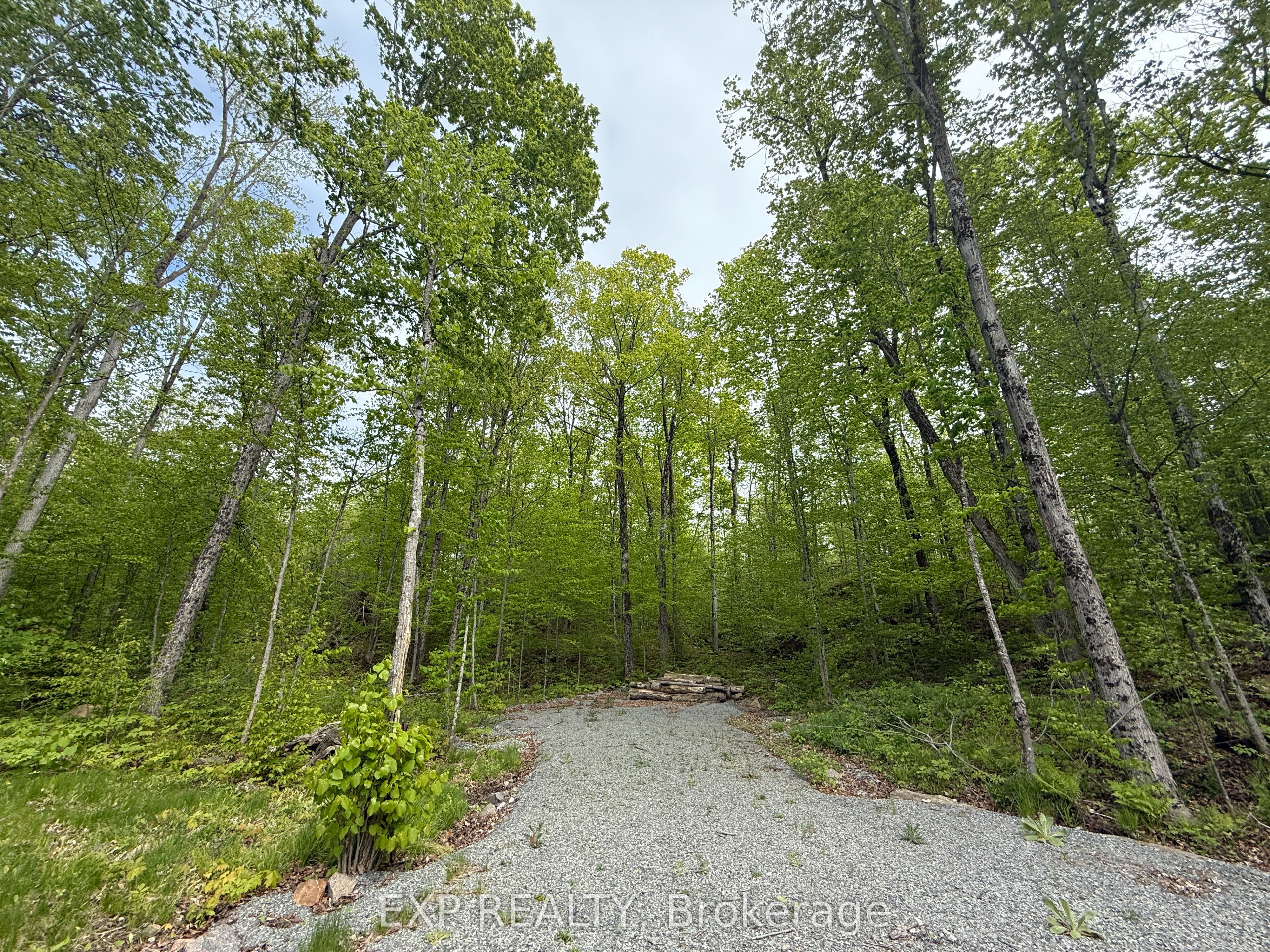 1105 Polar Bear Ln Property Photo 21