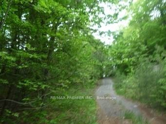 00000 Penyck Lane Property Photo 3