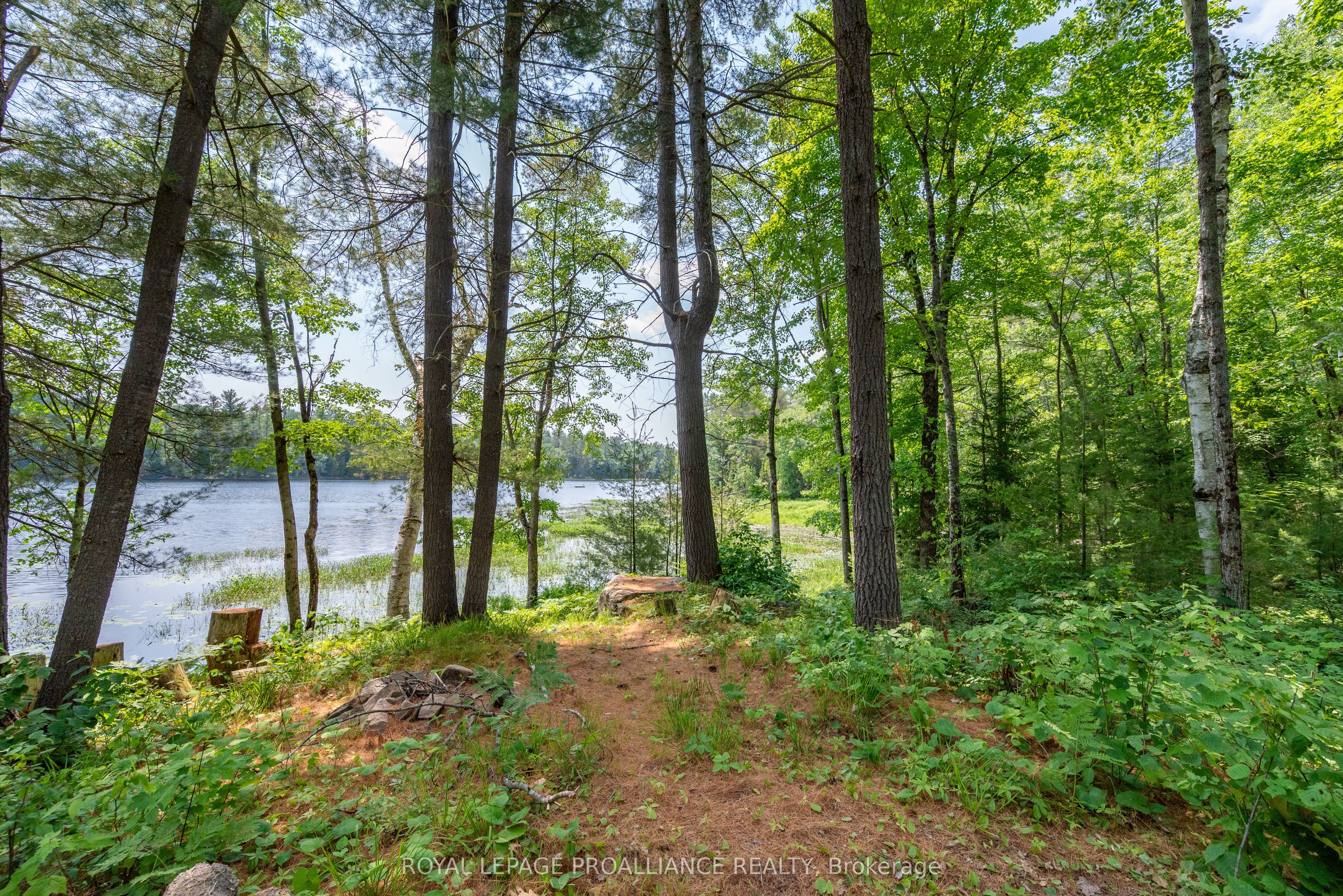 1180 Marshall Lane Property Photo 1