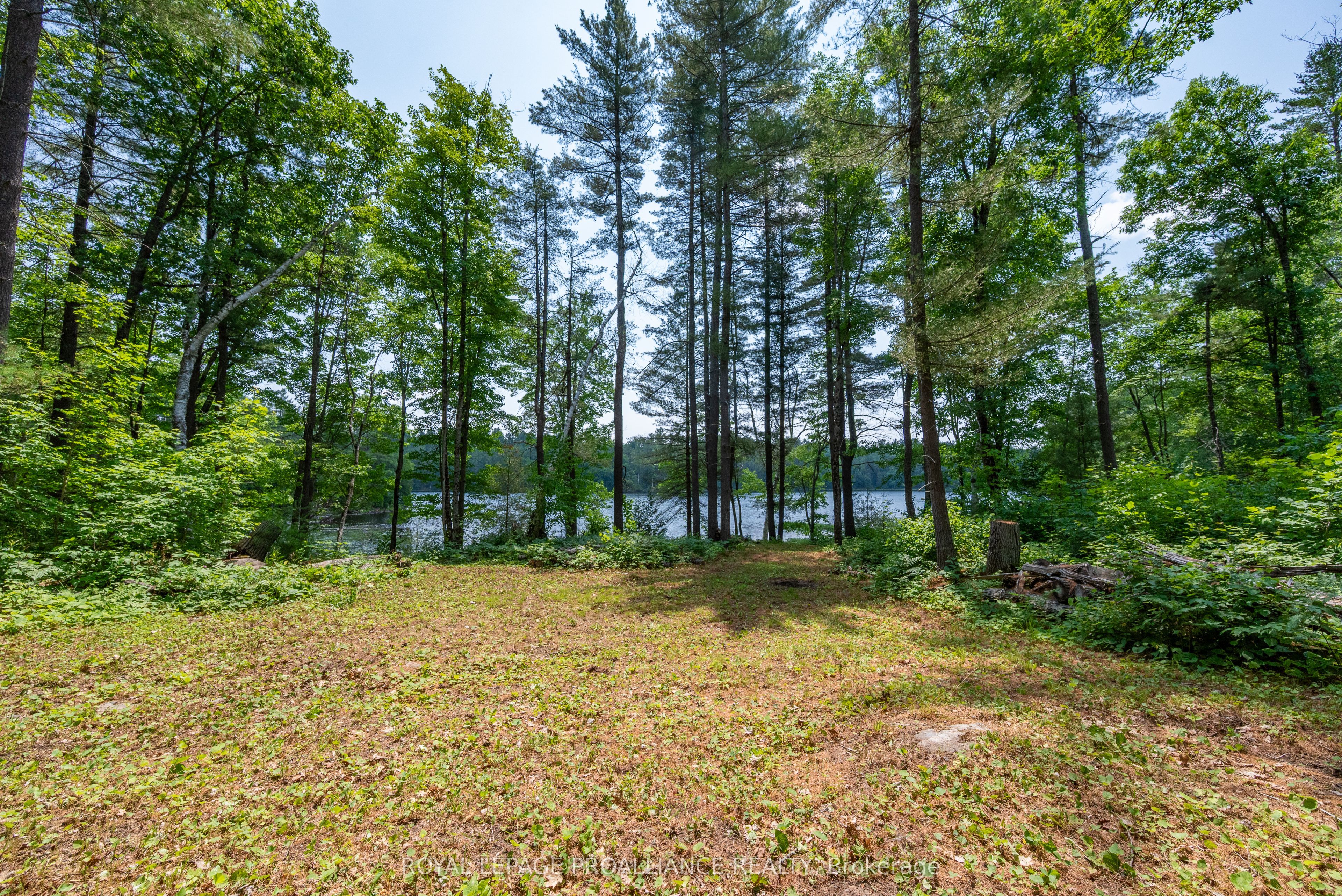 1180 Marshall Lane Property Photo 4
