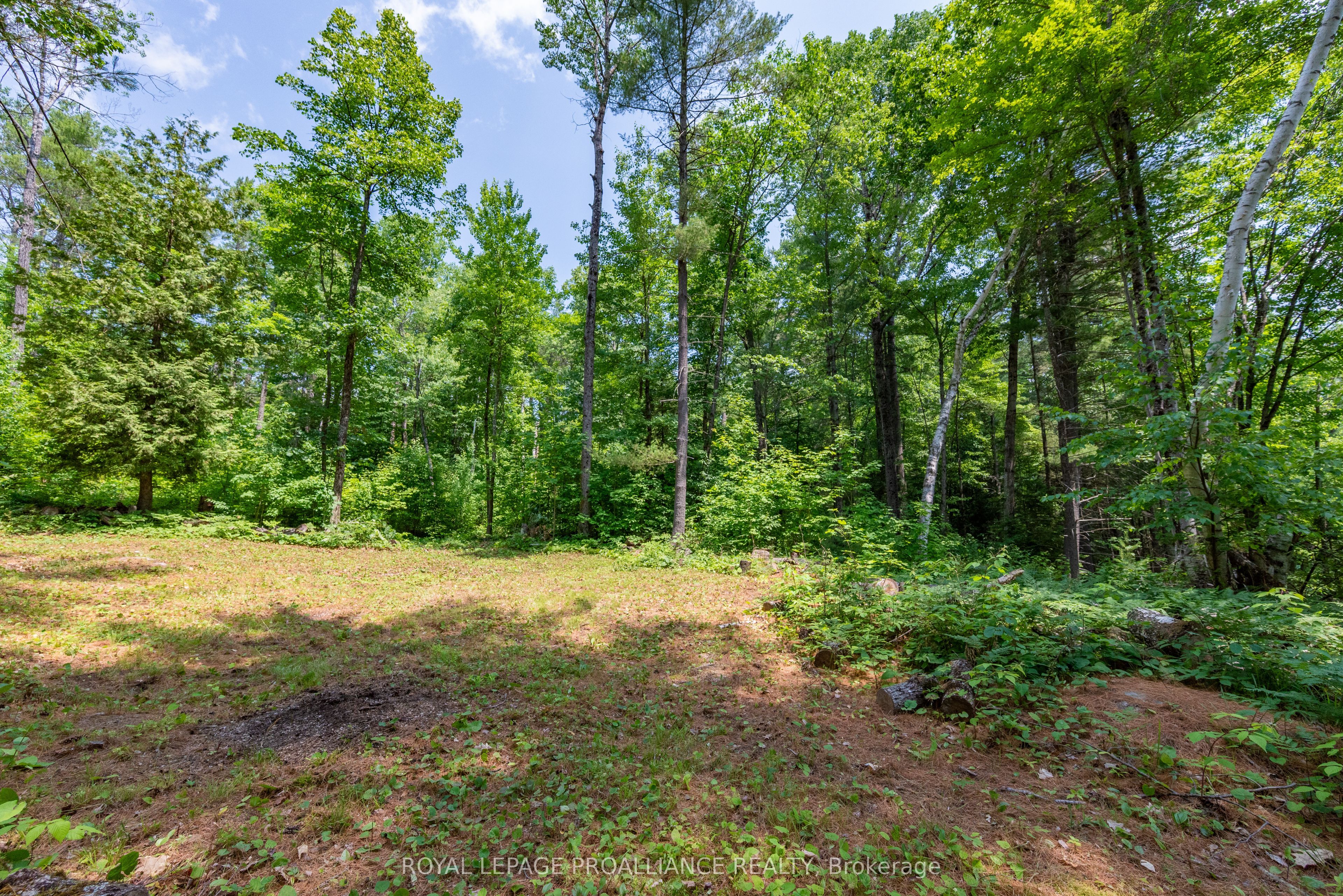 1180 Marshall Lane Property Photo 5