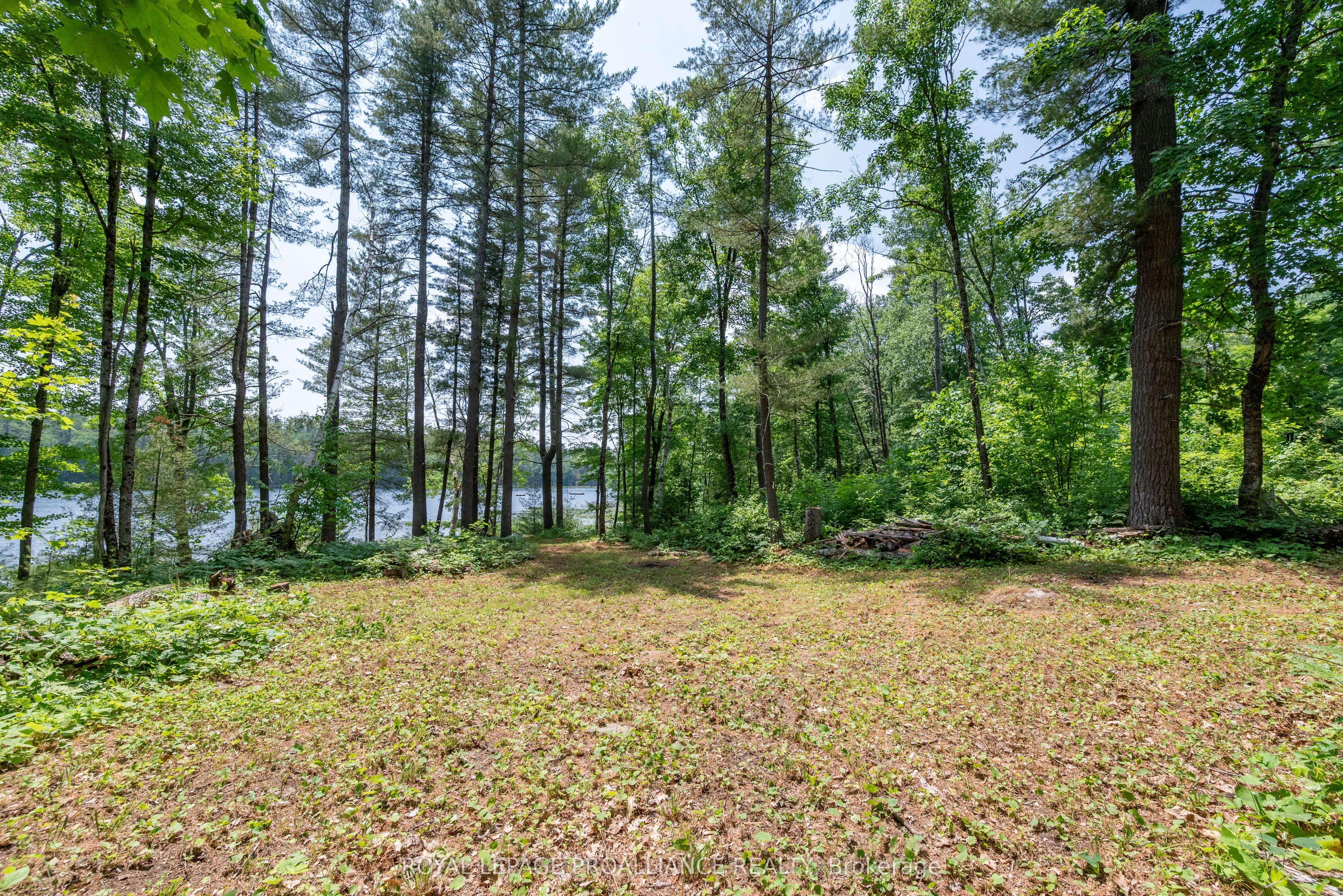 1180 Marshall Lane Property Photo 10