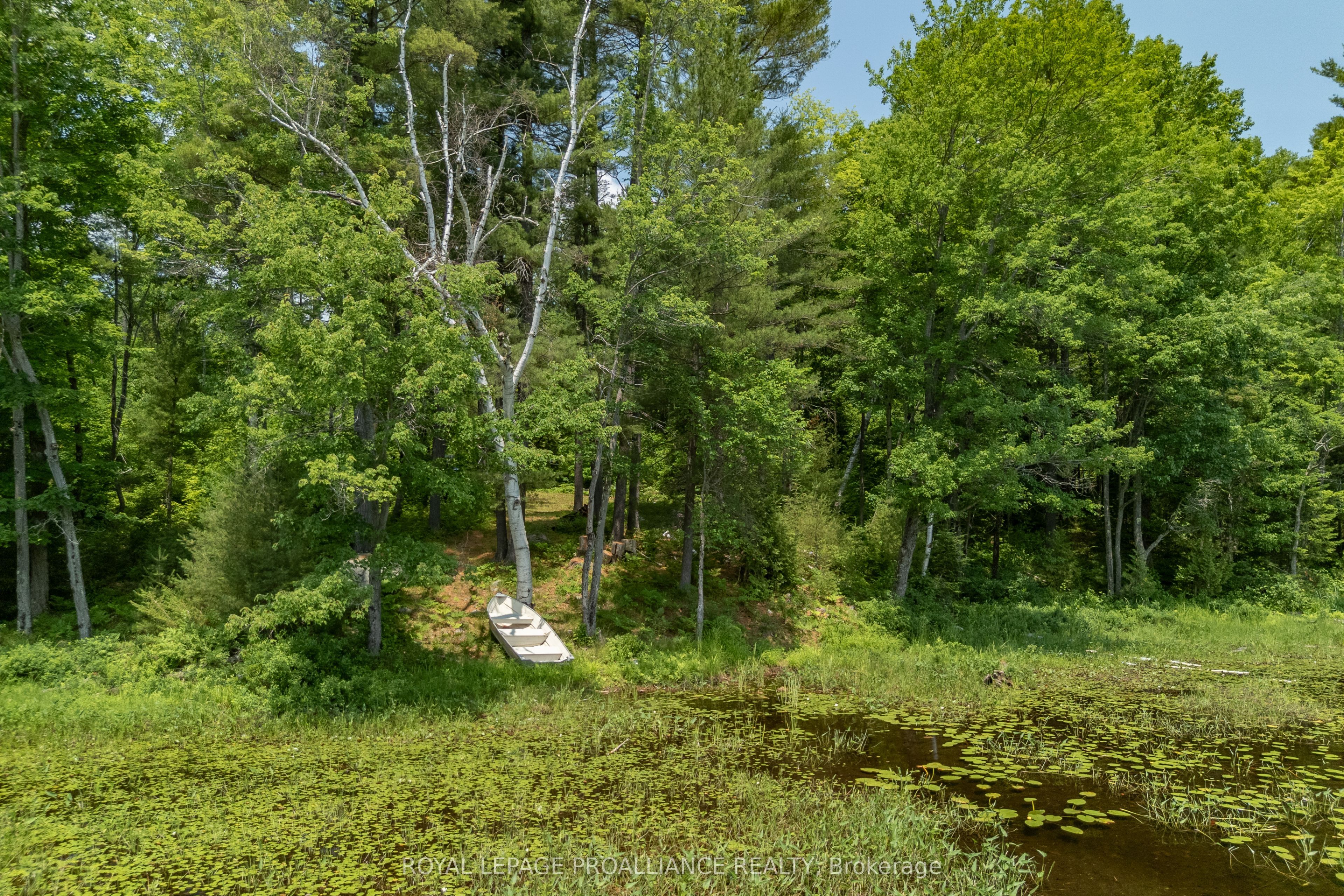 1180 Marshall Lane Property Photo 17