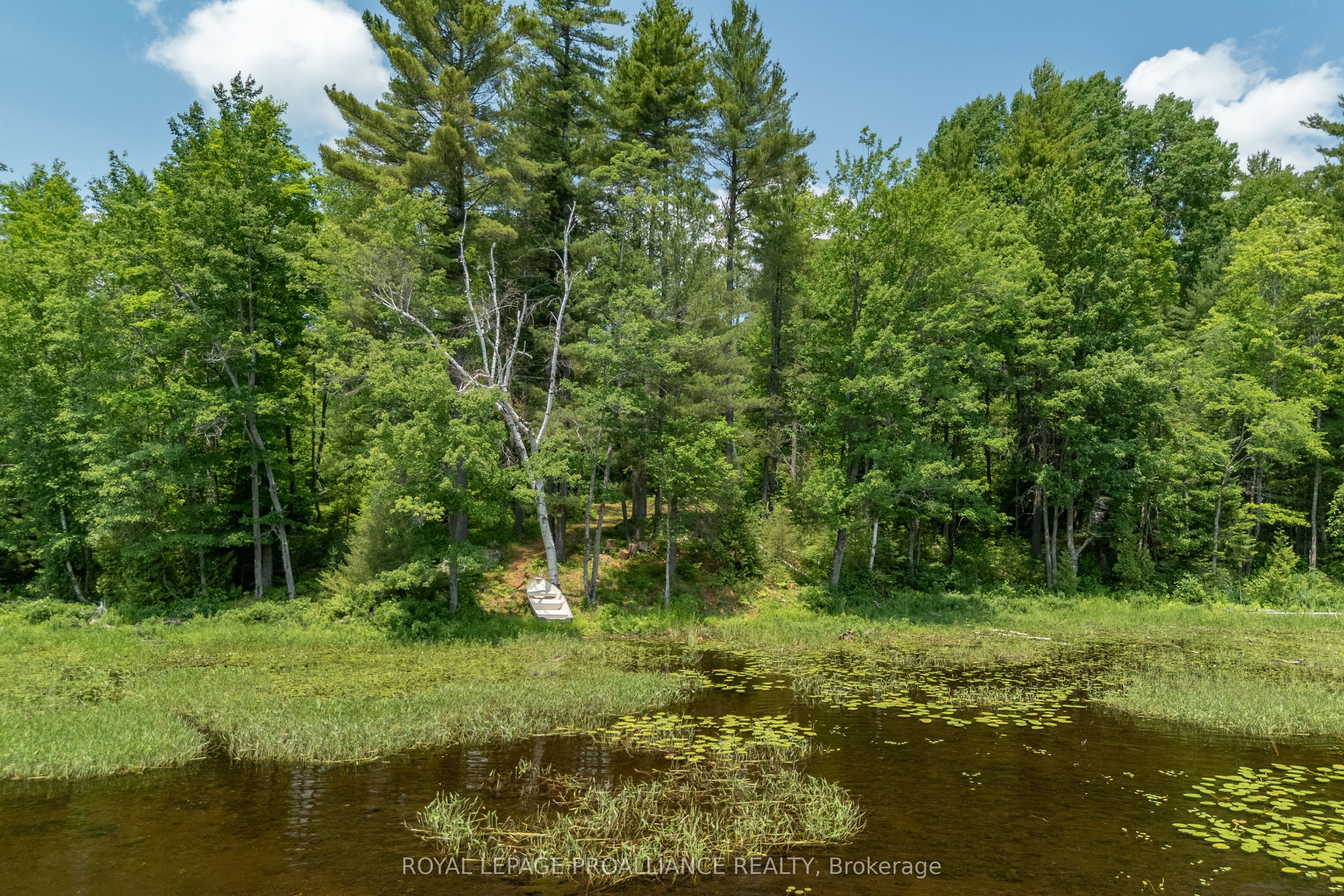 1180 Marshall Lane Property Photo 18