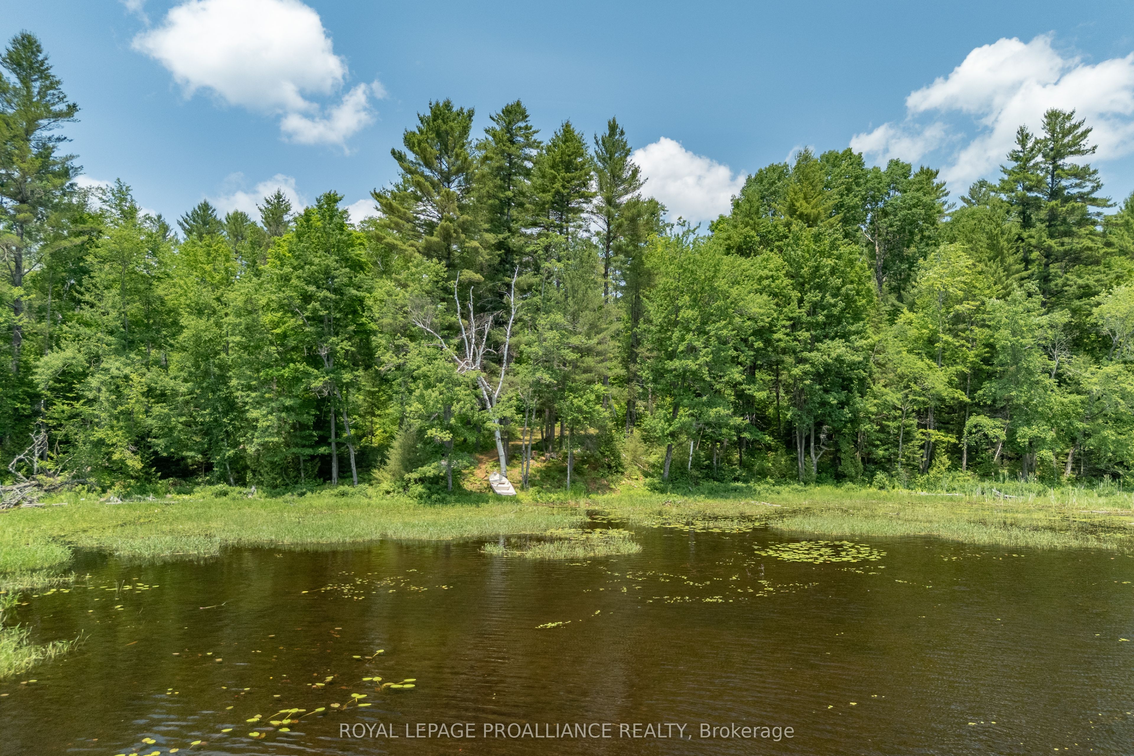 1180 Marshall Lane Property Photo 19