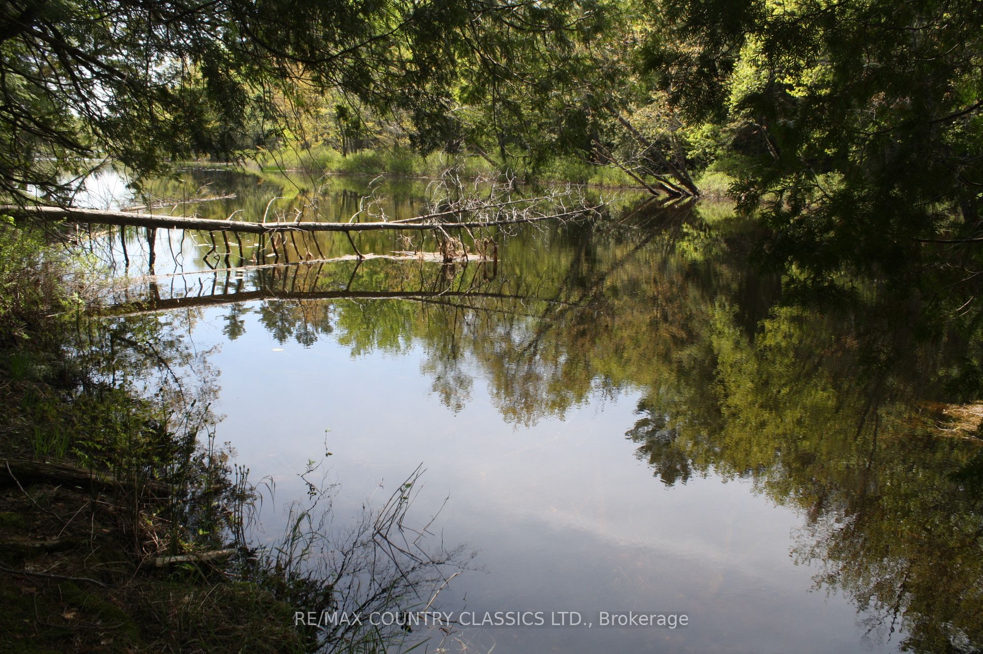 00 Betty Lane Property Photo 6