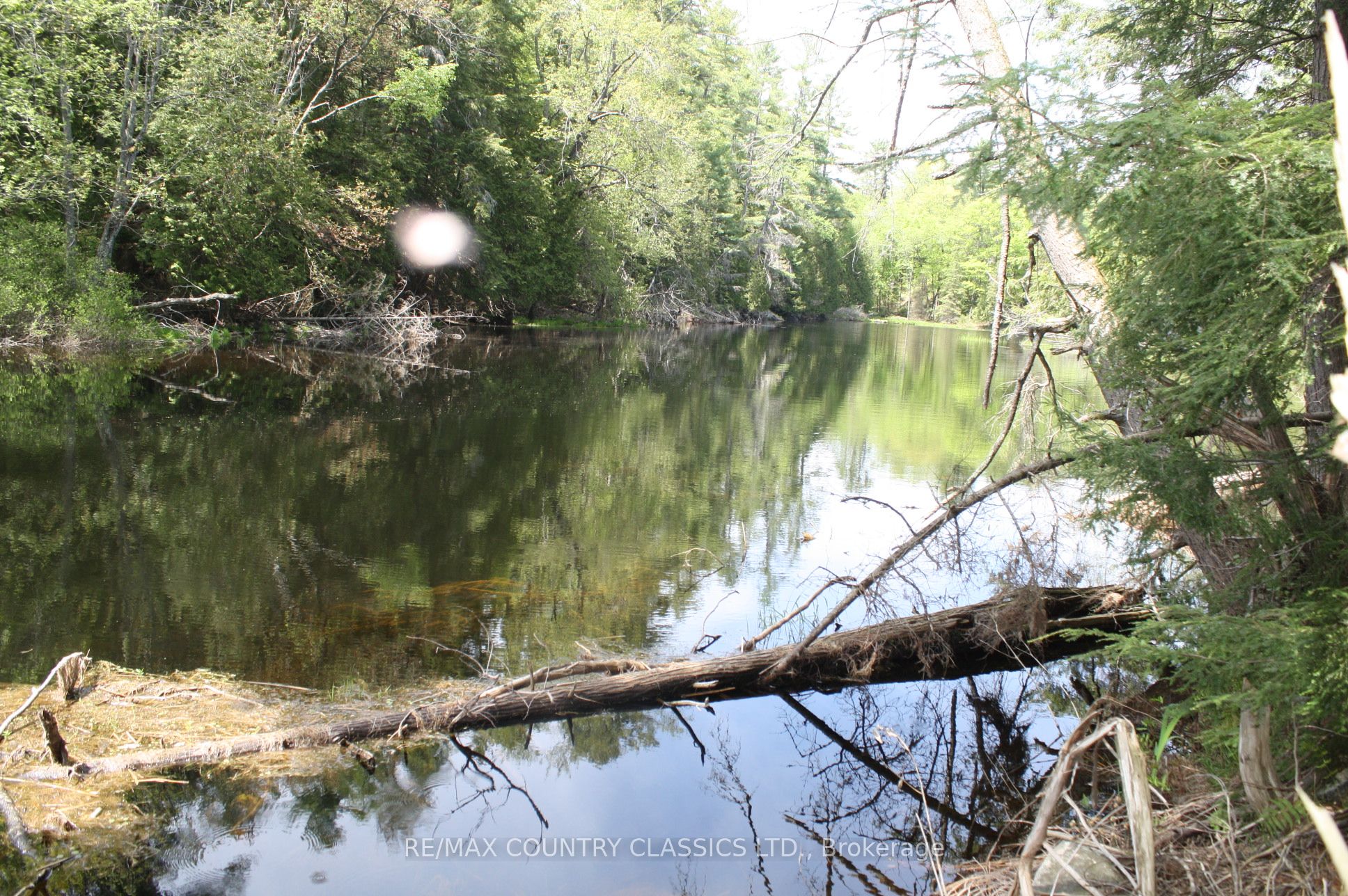 00 Betty Lane Property Photo 7