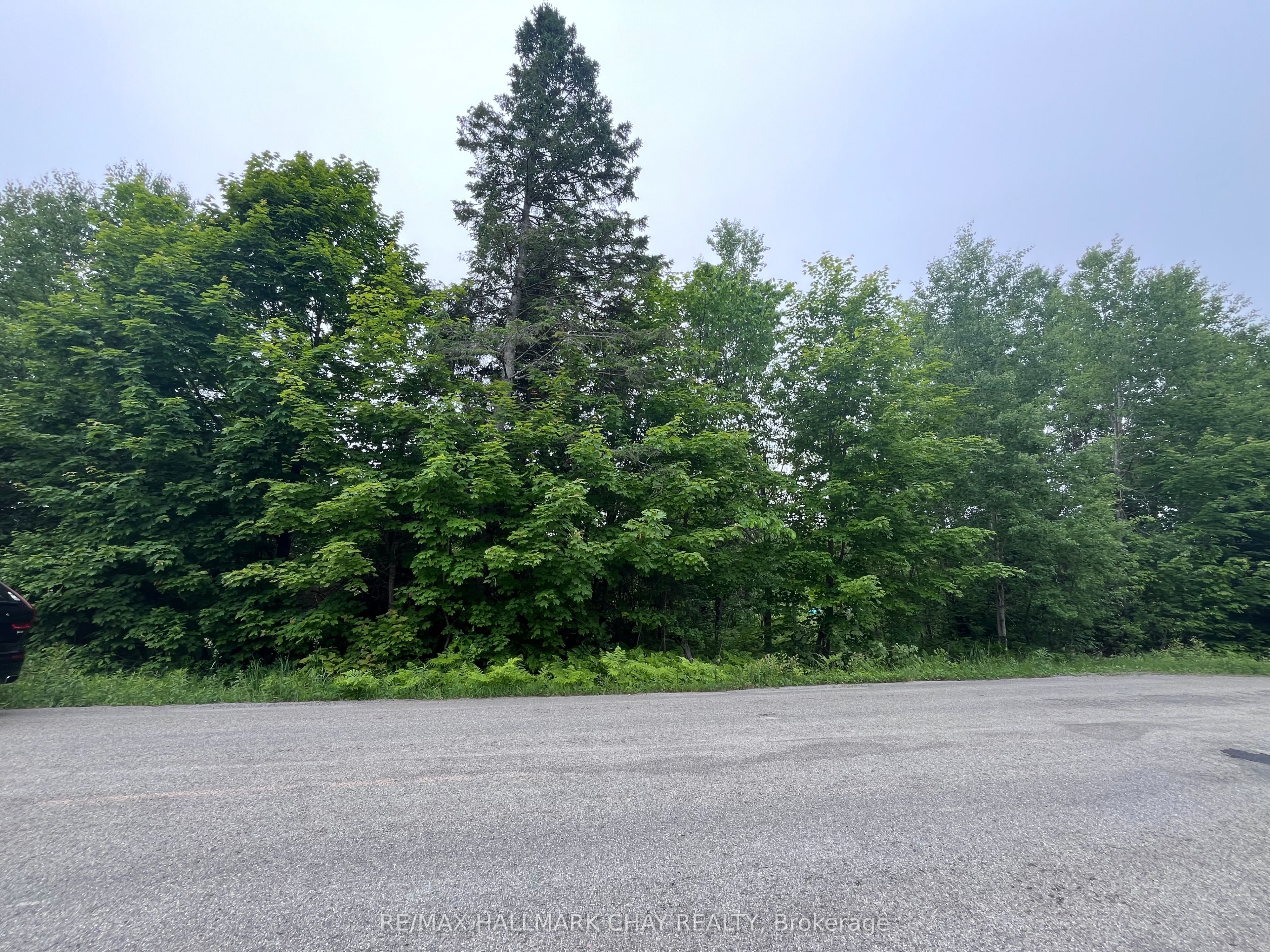 0 Hurdville Road Property Photo 3