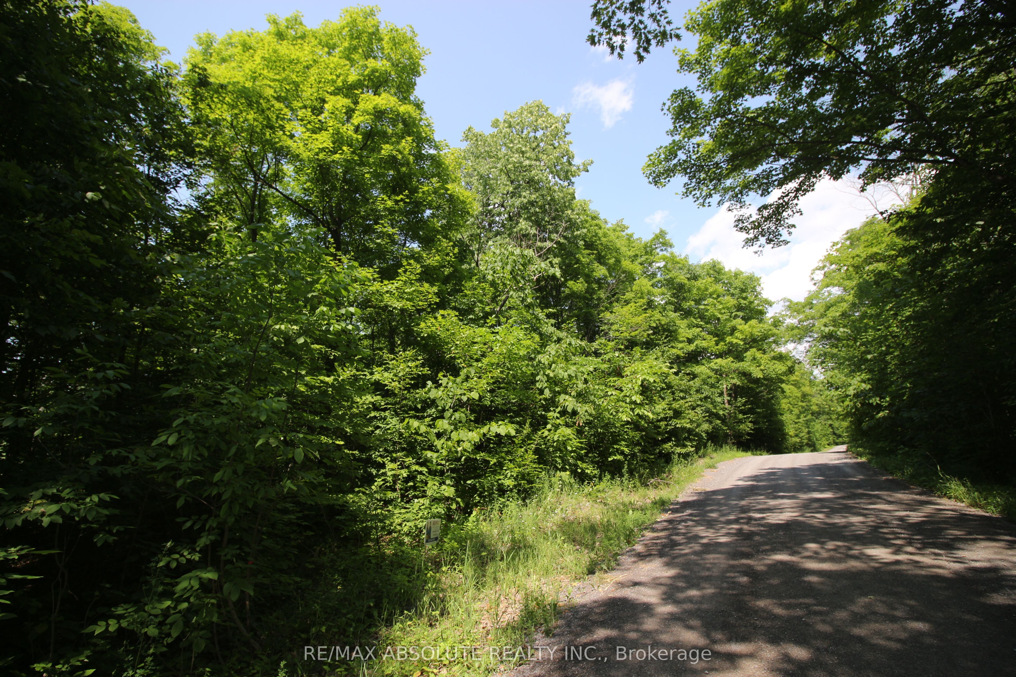 01 Carbine Road Property Photo 1