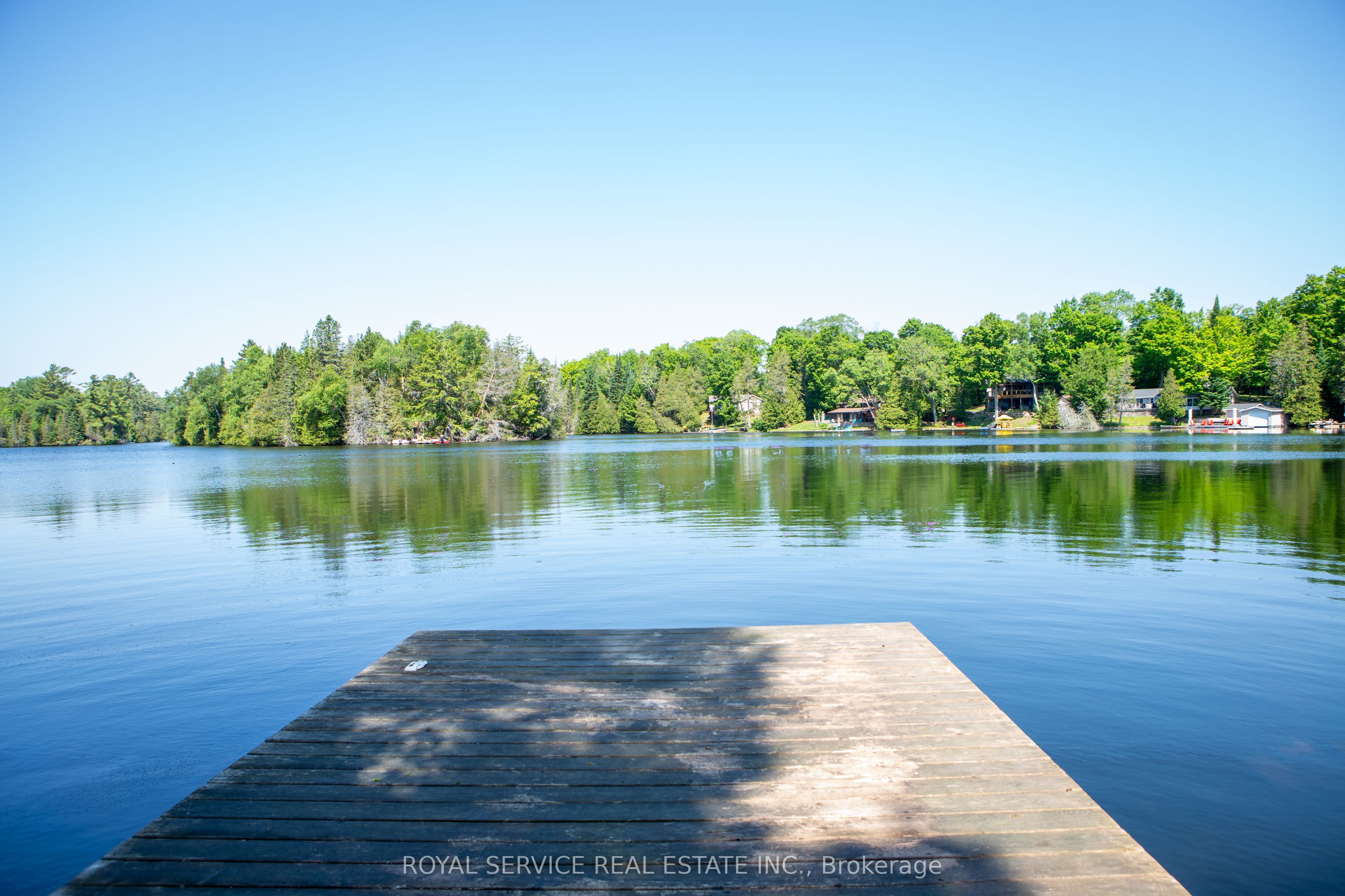 1317 Abrams Road Property Photo 1