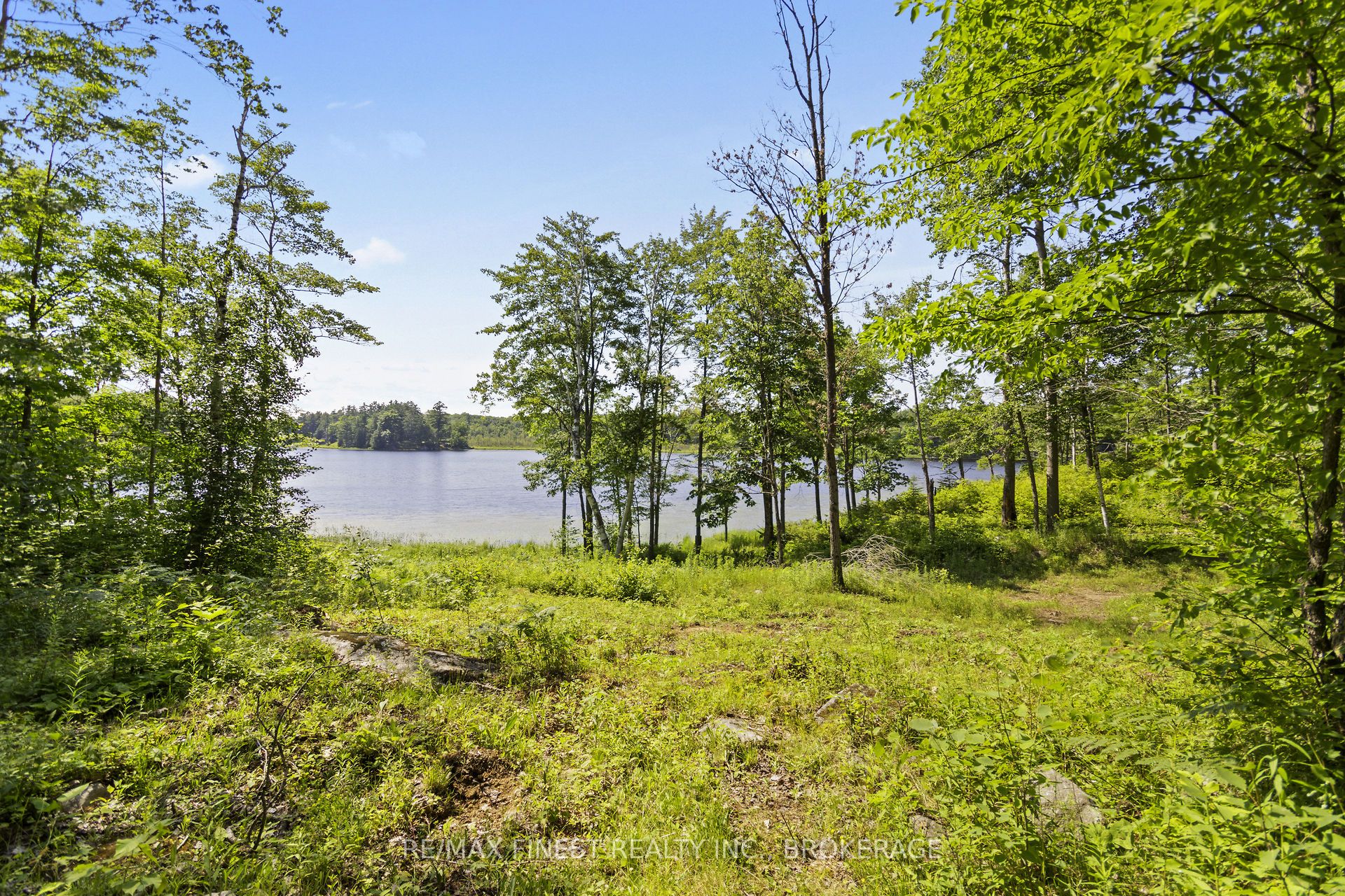 Lot11 Property Photo 11