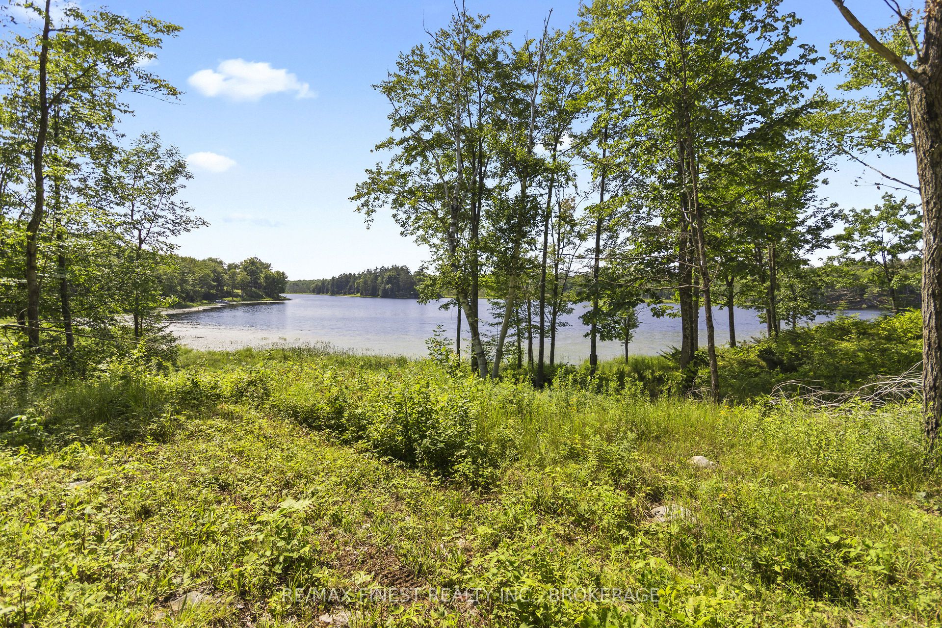 Lot11 Property Photo 12