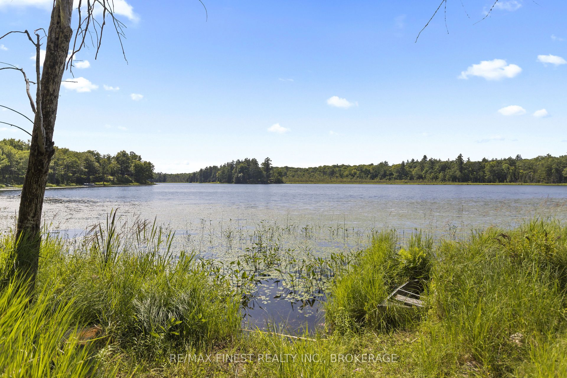 Lot11 Property Photo 13