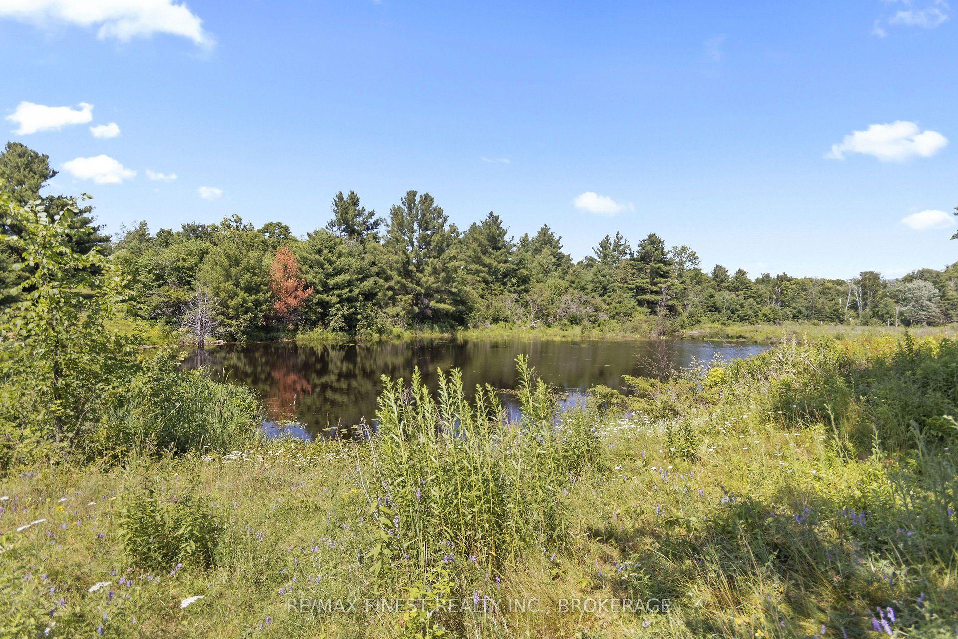 Lot11 Property Photo 16