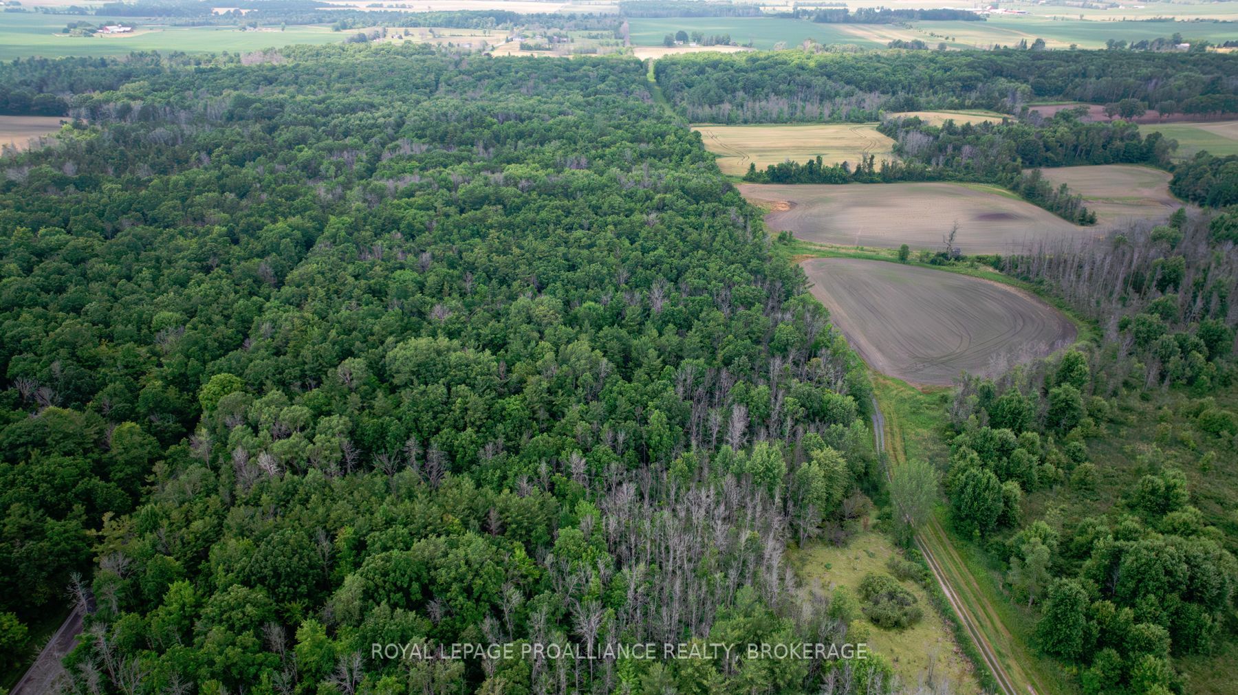 Lot C Townline Road Property Photo 3