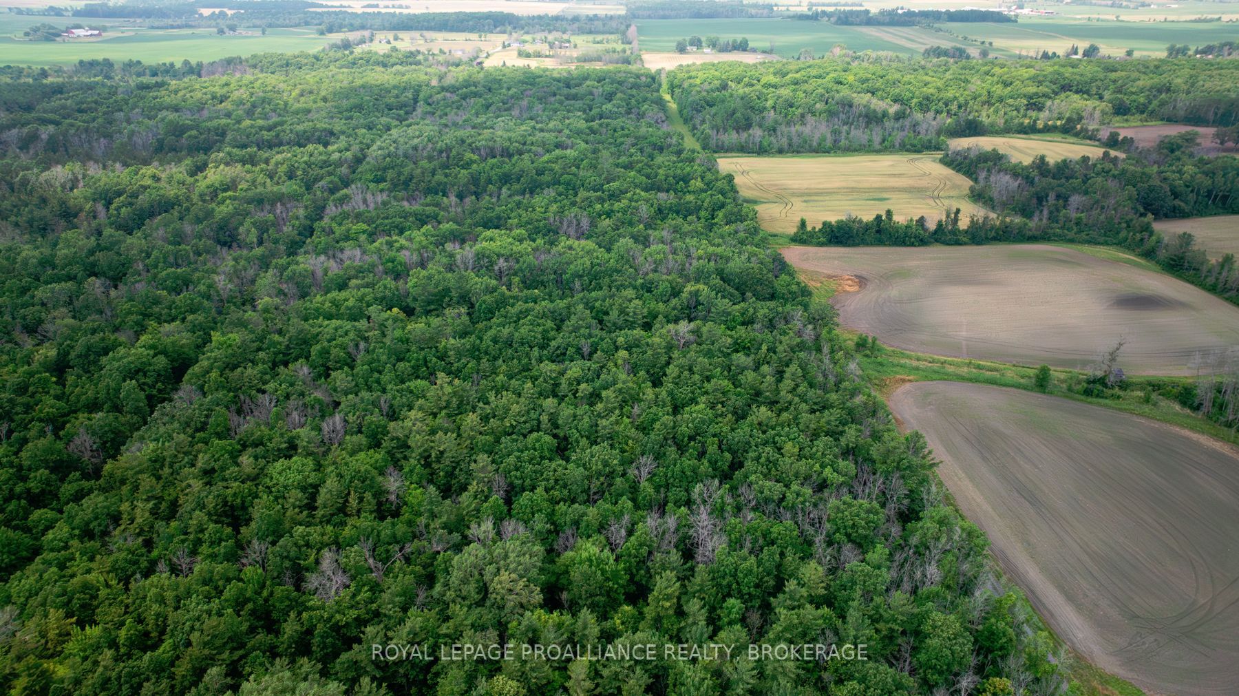 Lot C Townline Road Property Photo 4