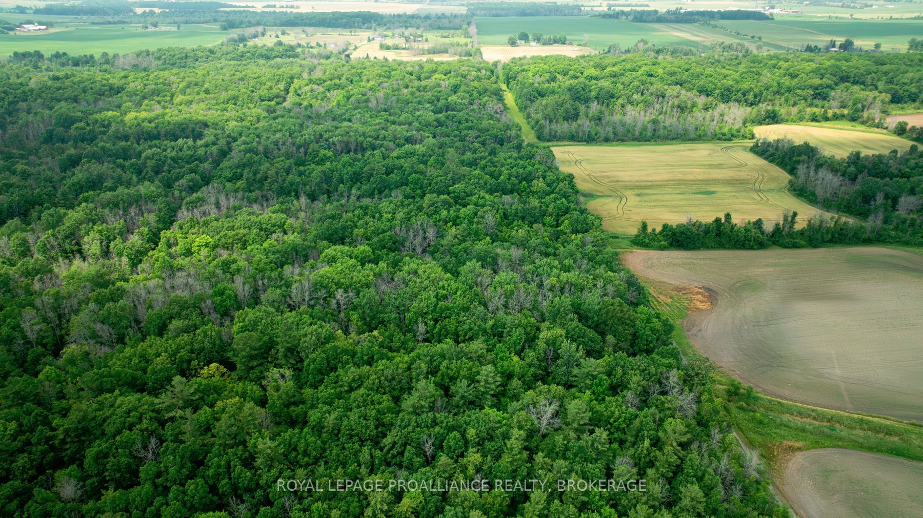 Lot C Townline Road Property Photo 5