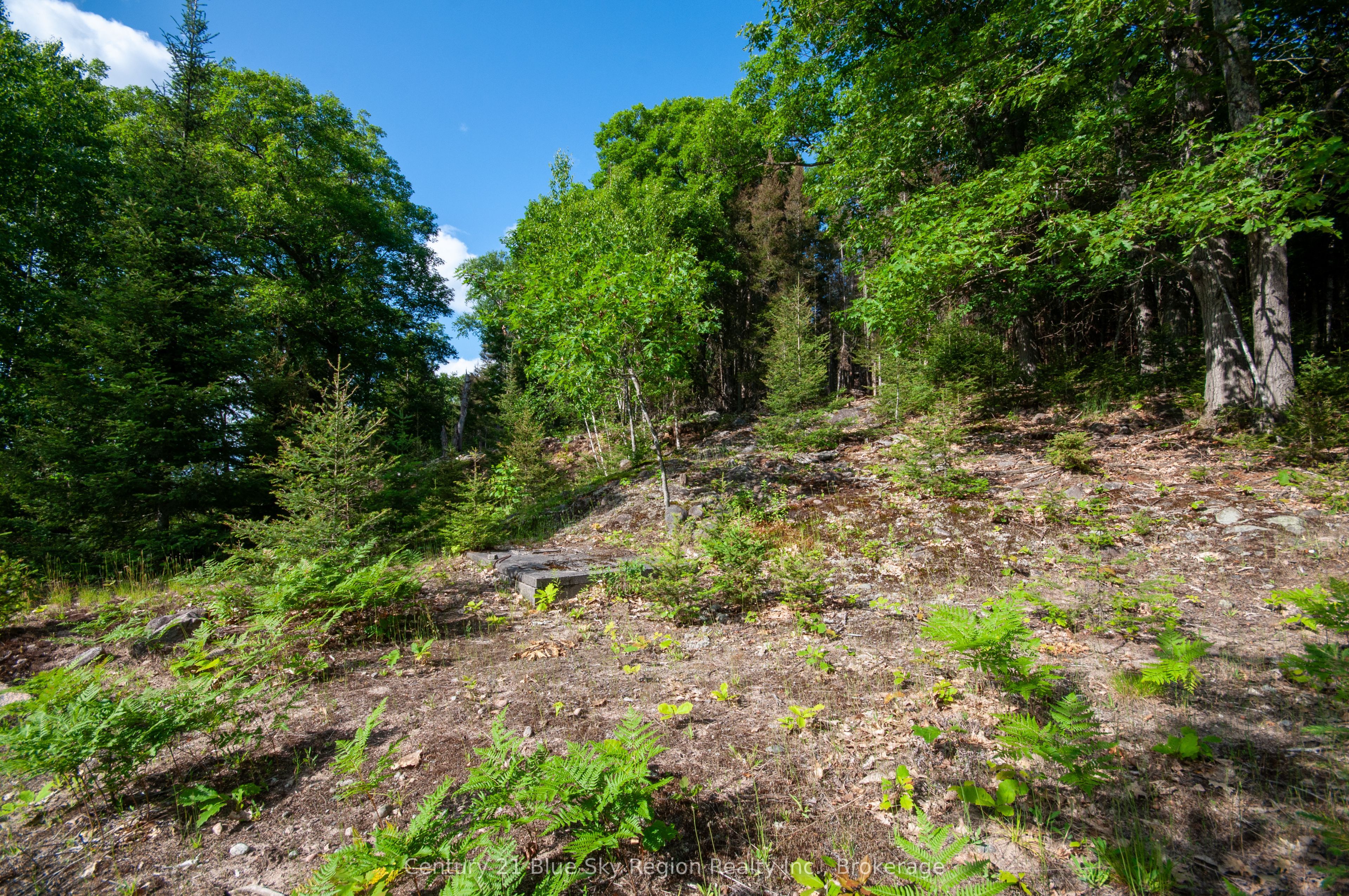 8 Cedar Bay Road Property Photo 6