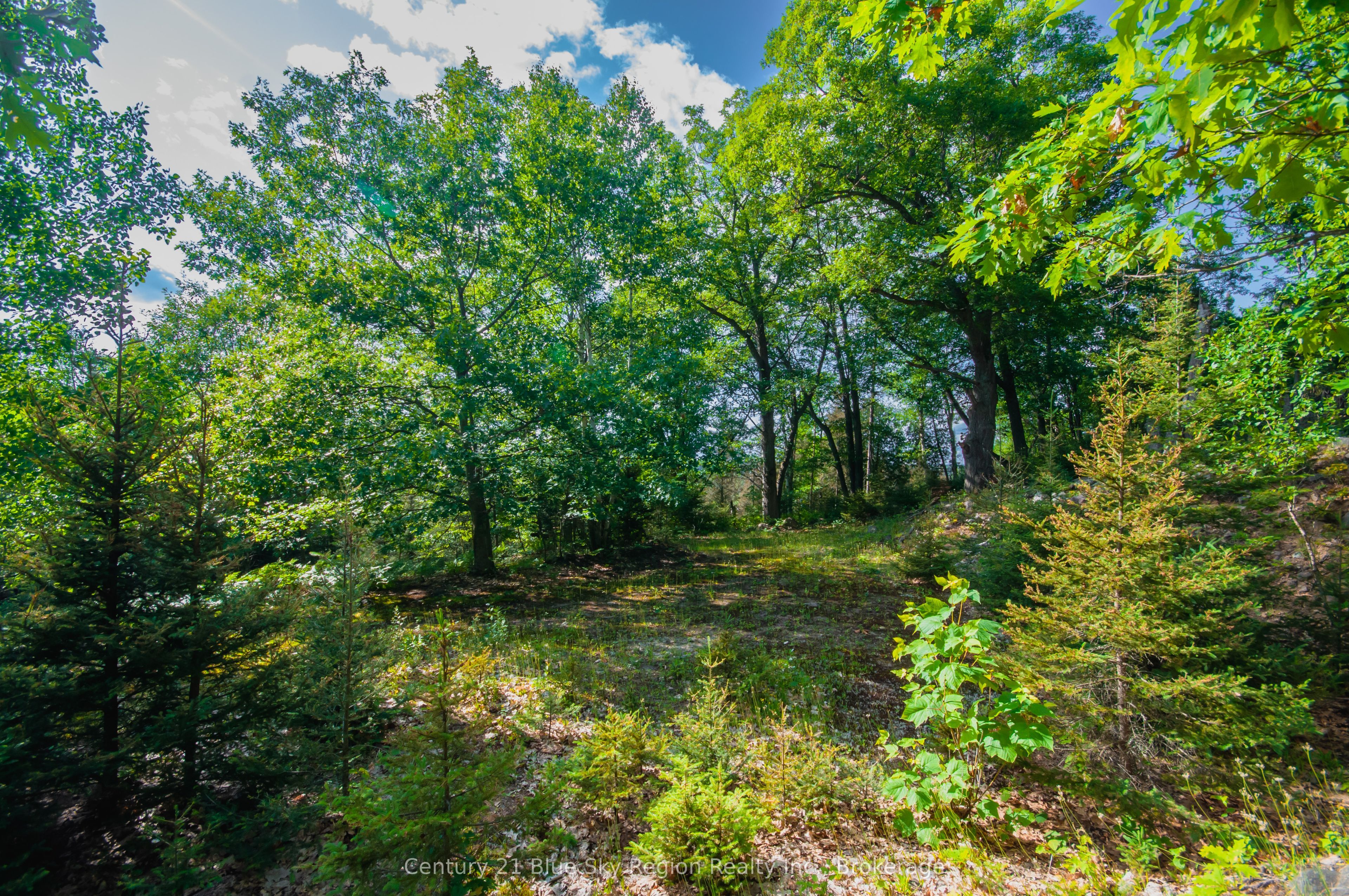 8 Cedar Bay Road Property Photo 7