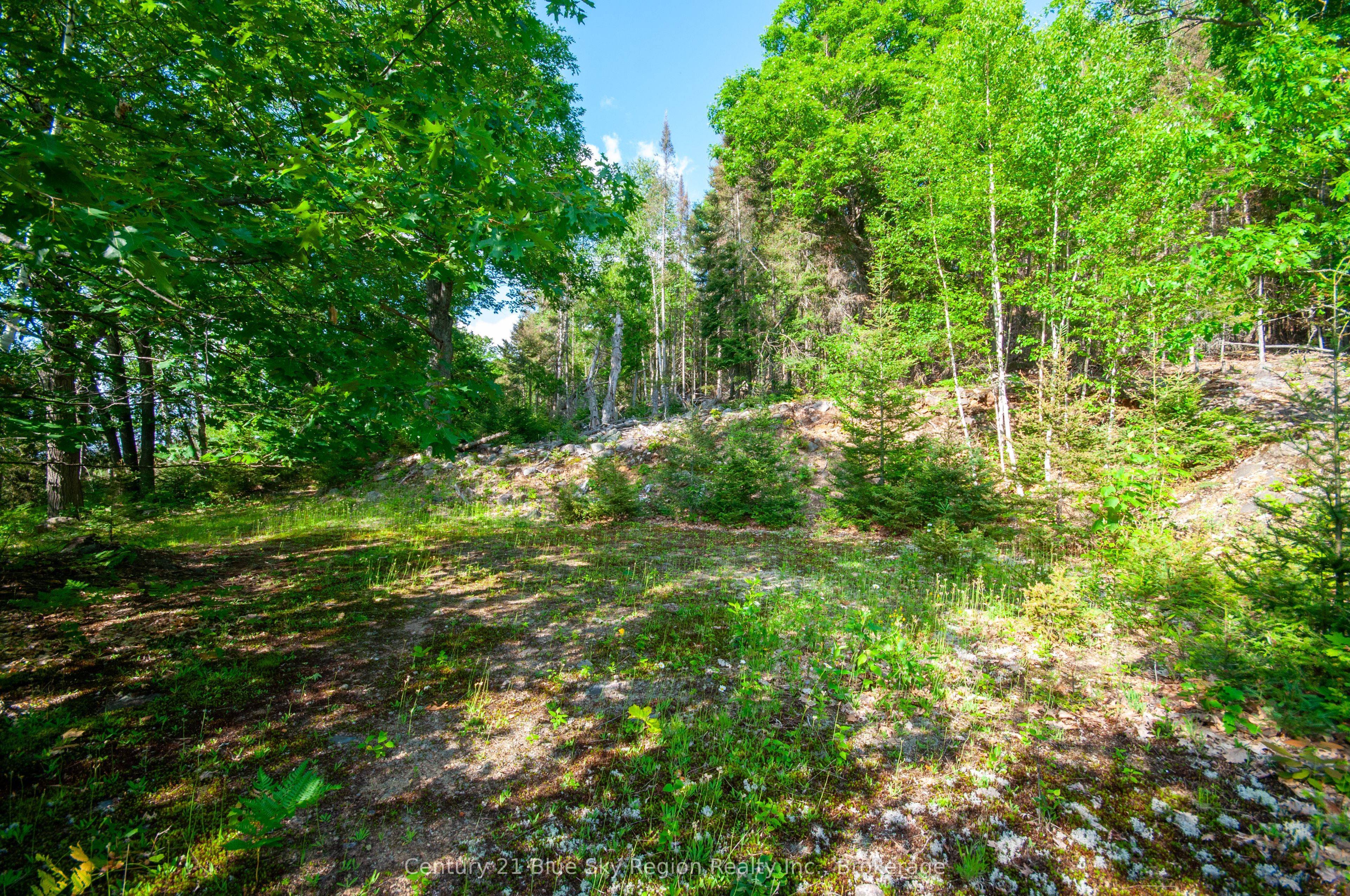 8 Cedar Bay Road Property Photo 8