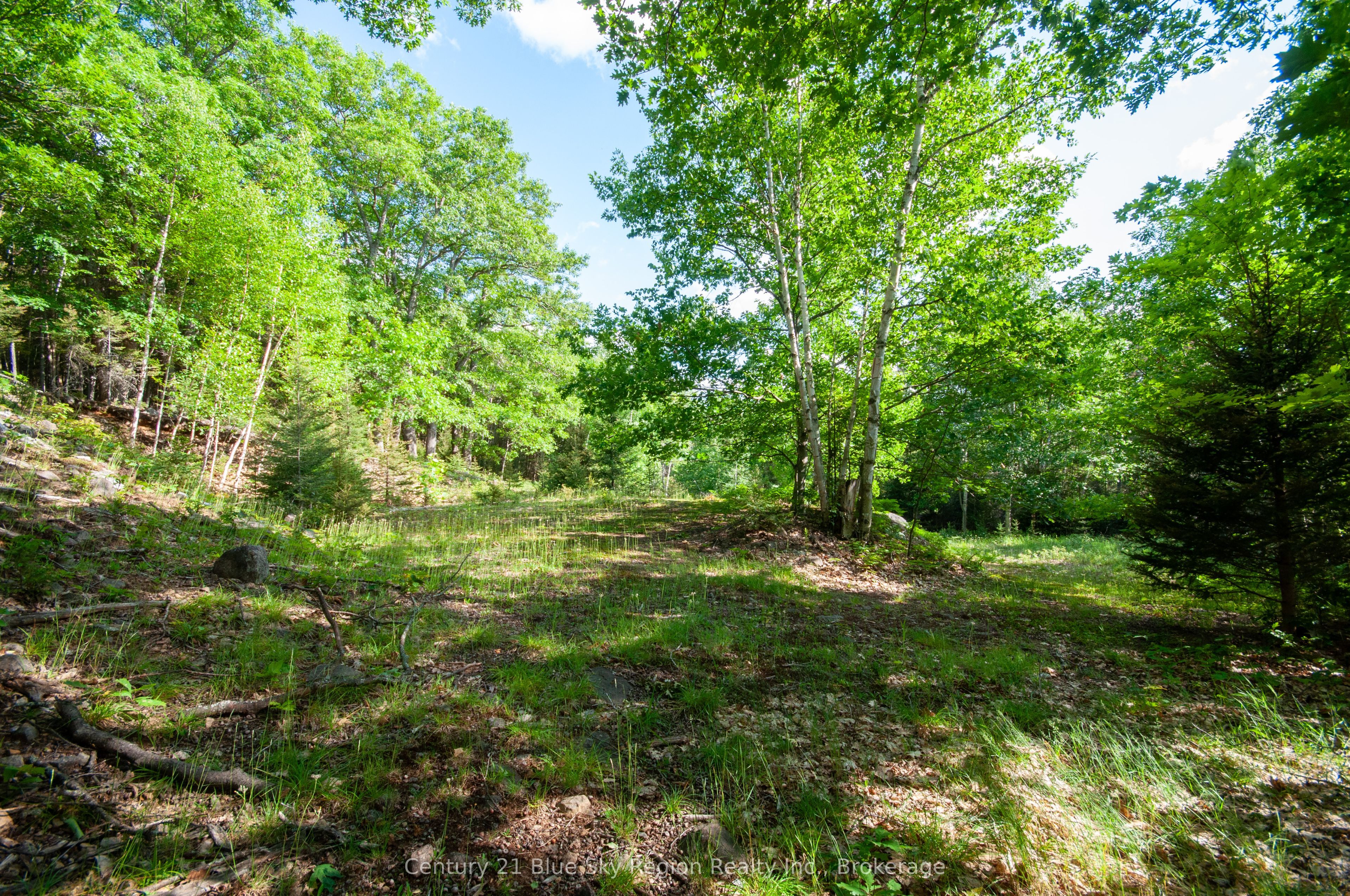 8 Cedar Bay Road Property Photo 10