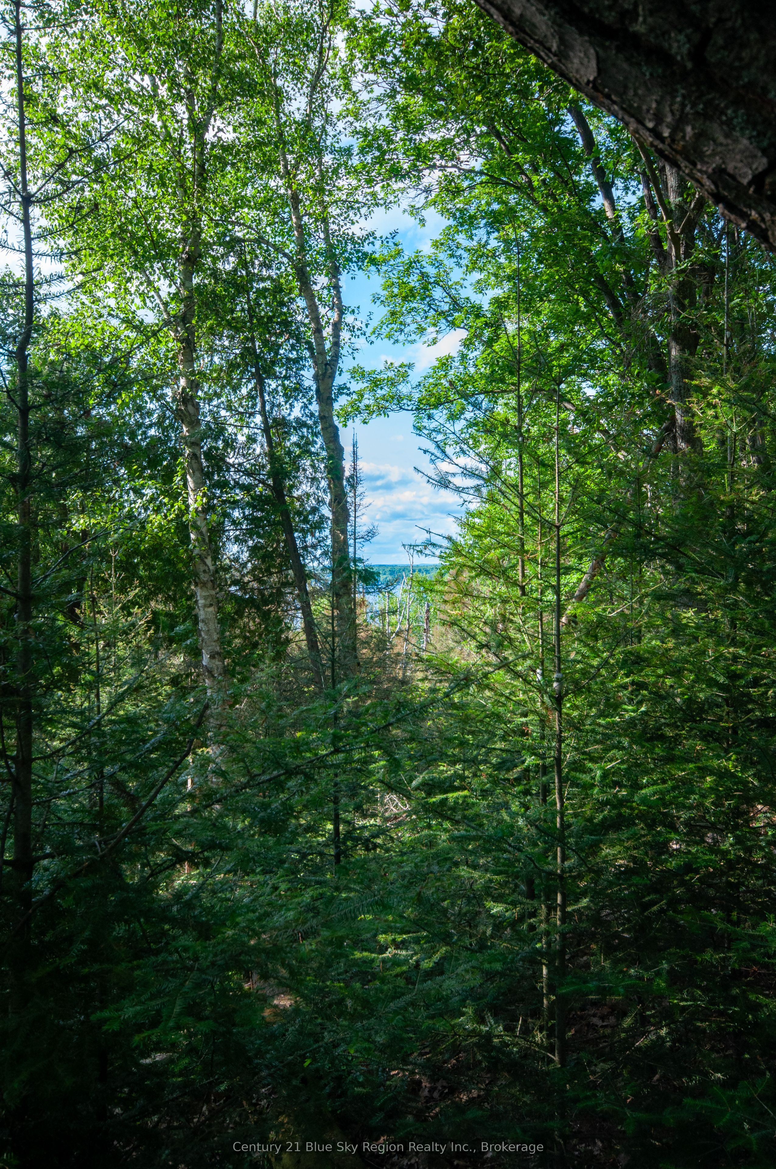8 Cedar Bay Road Property Photo 11