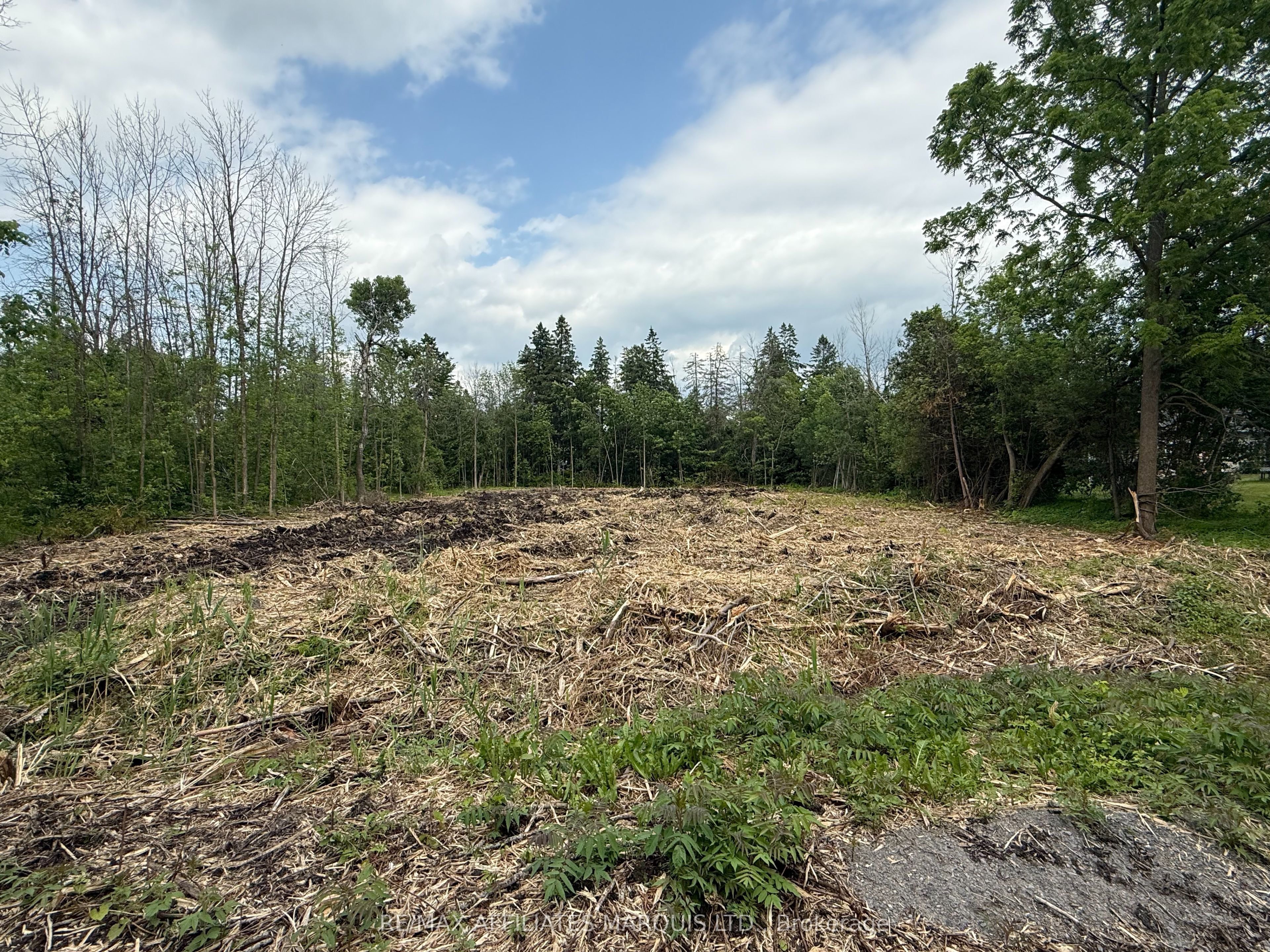 Lot Pine Street Property Photo 1