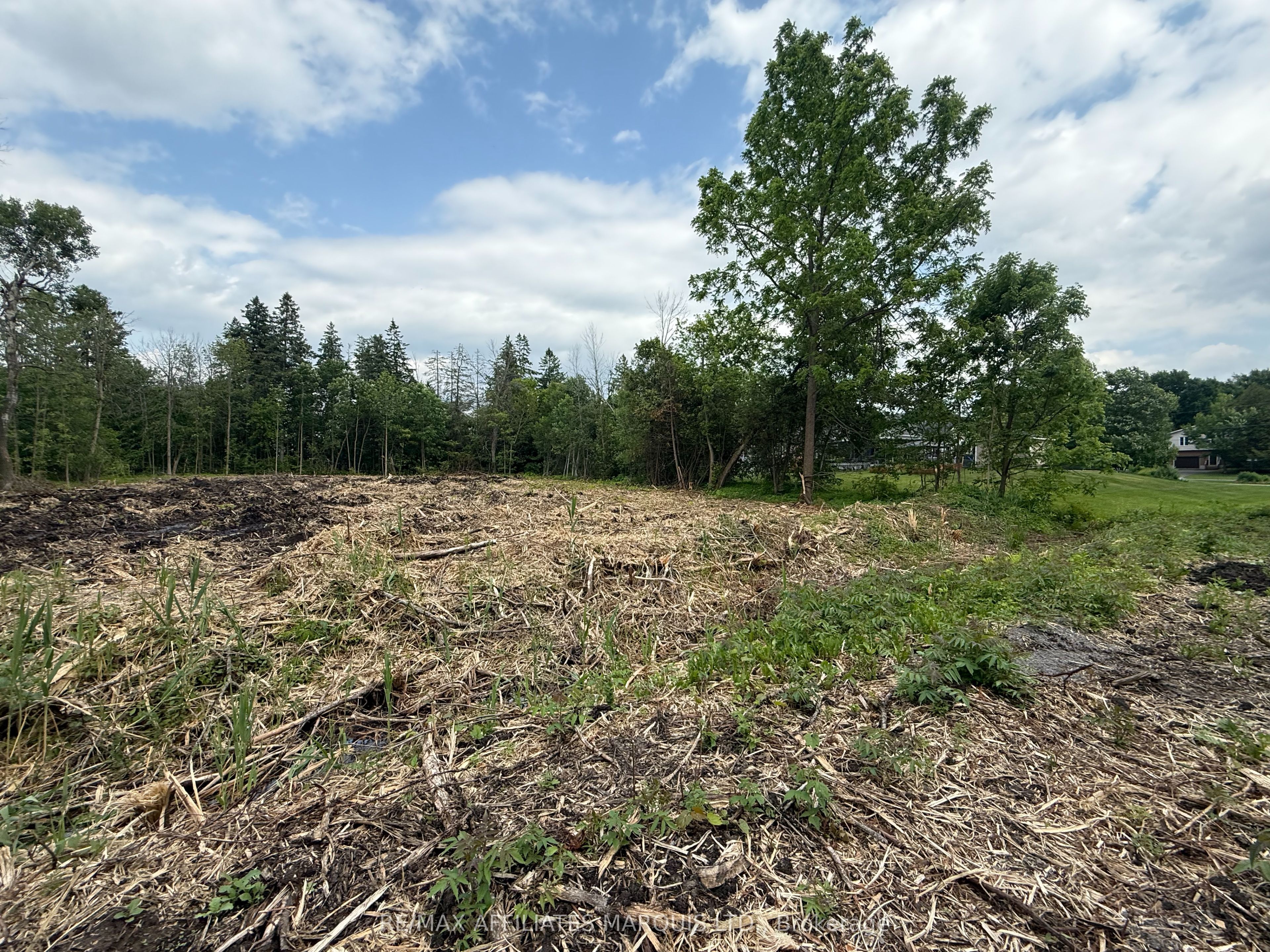 Lot Pine Street Property Photo 4