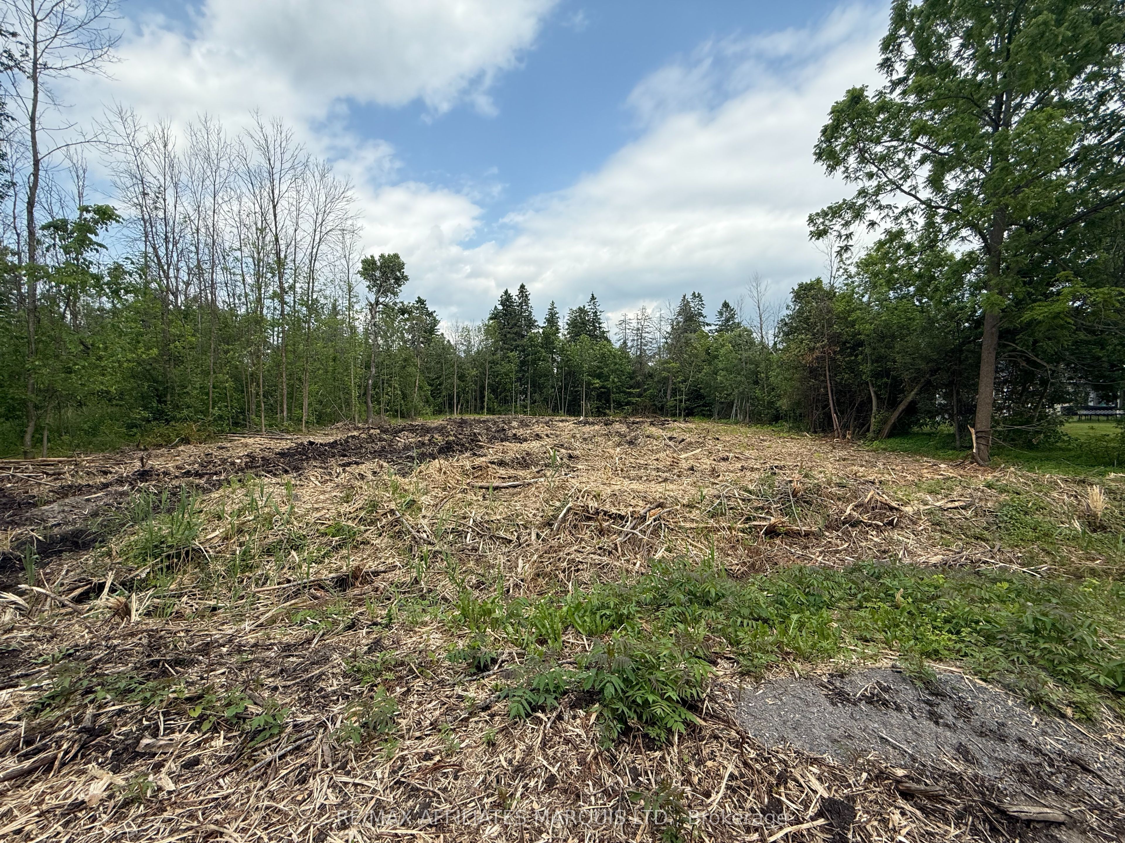 Lot Pine Street Property Photo 6