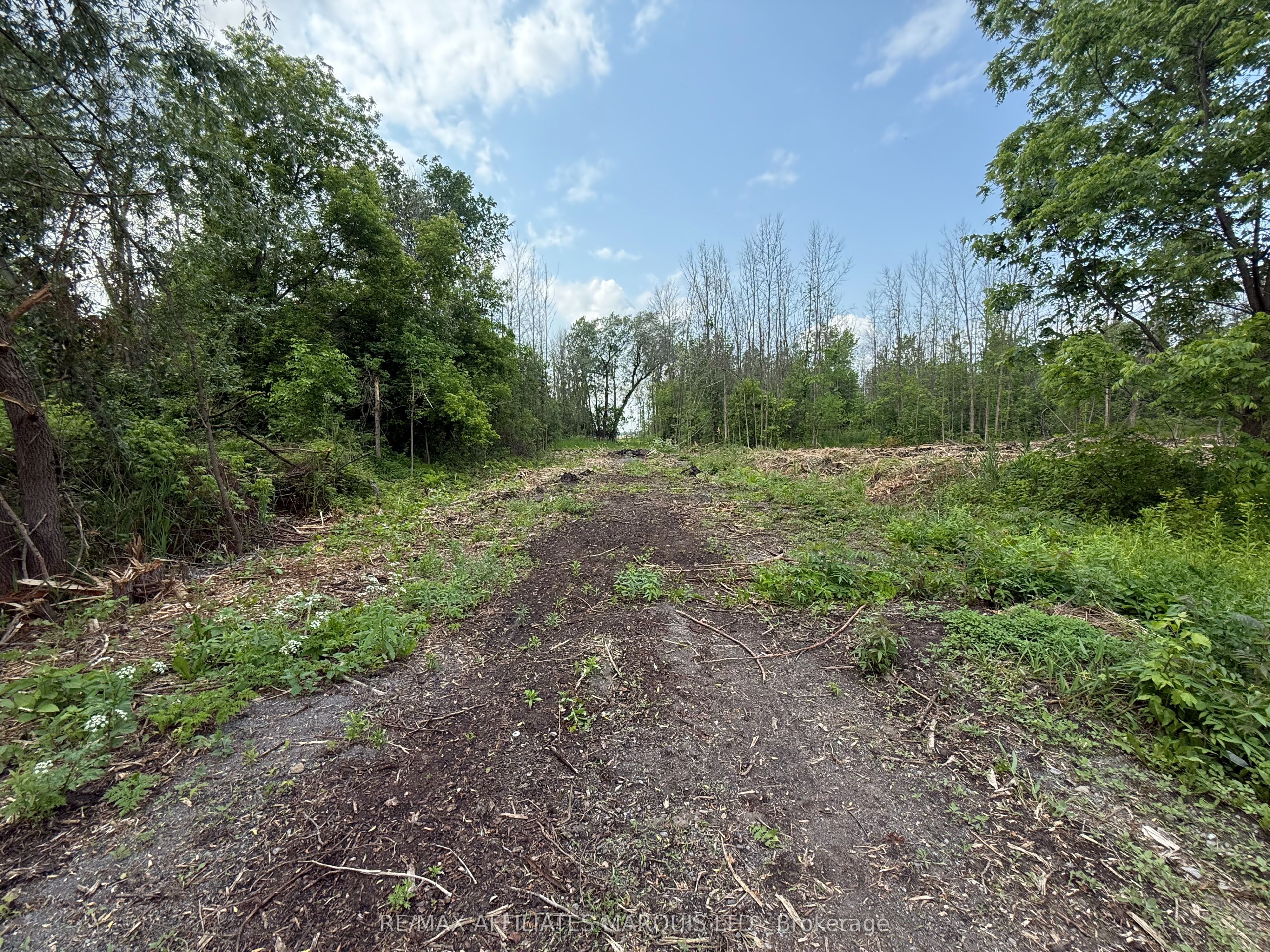 Lot Pine Street Property Photo 7