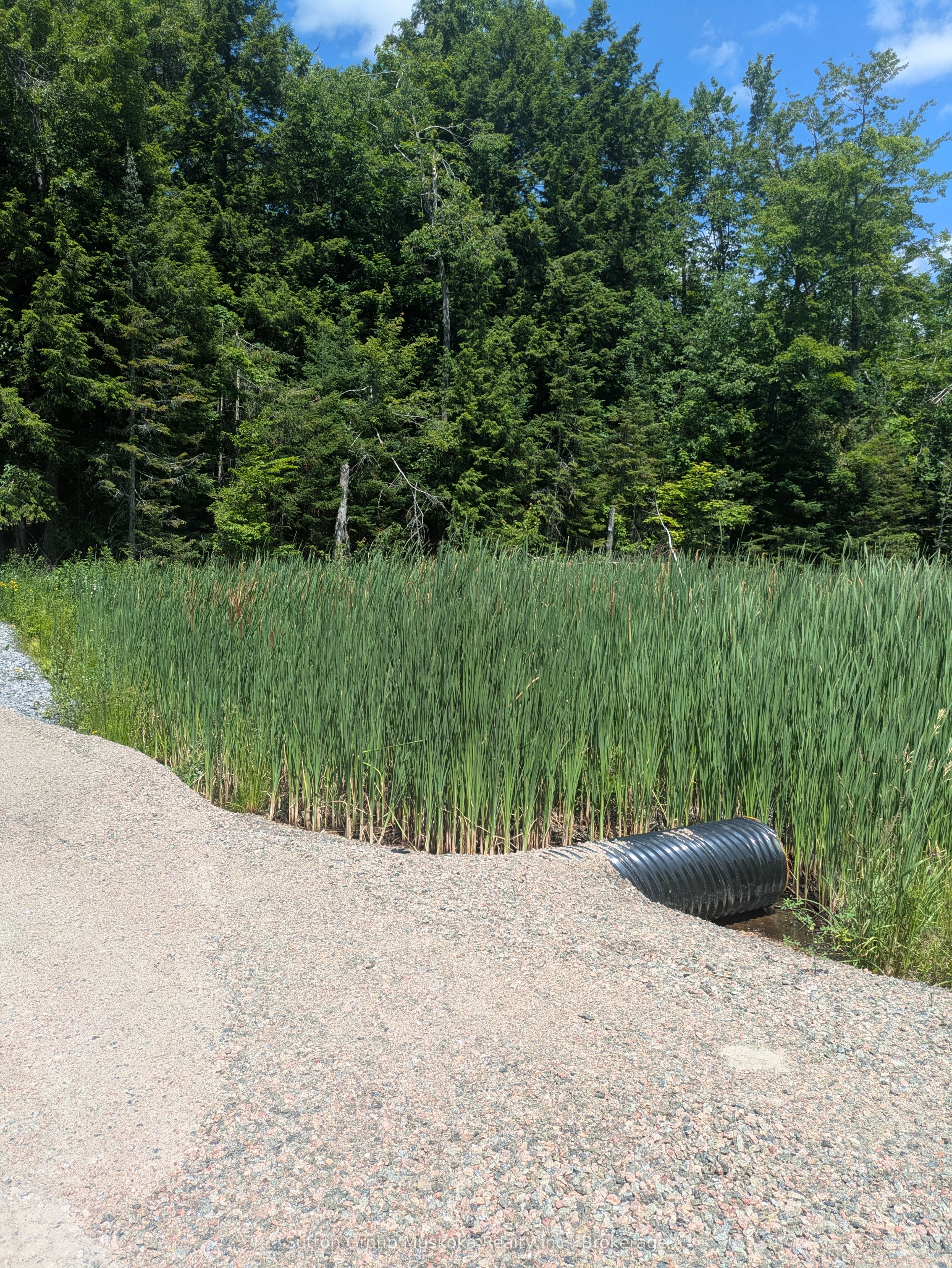 0 118 Highway Property Photo 1