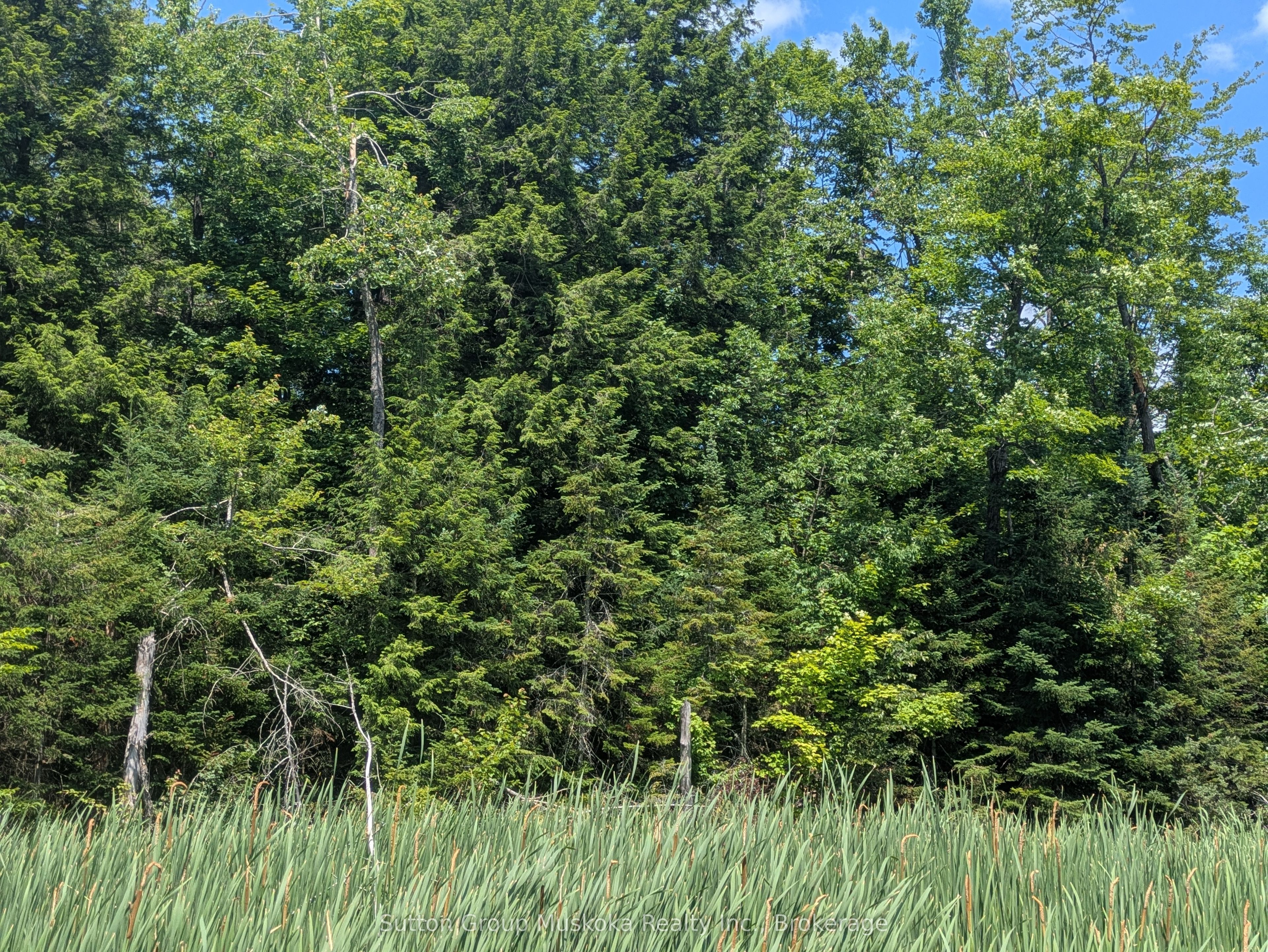 0 118 Highway Property Photo 14