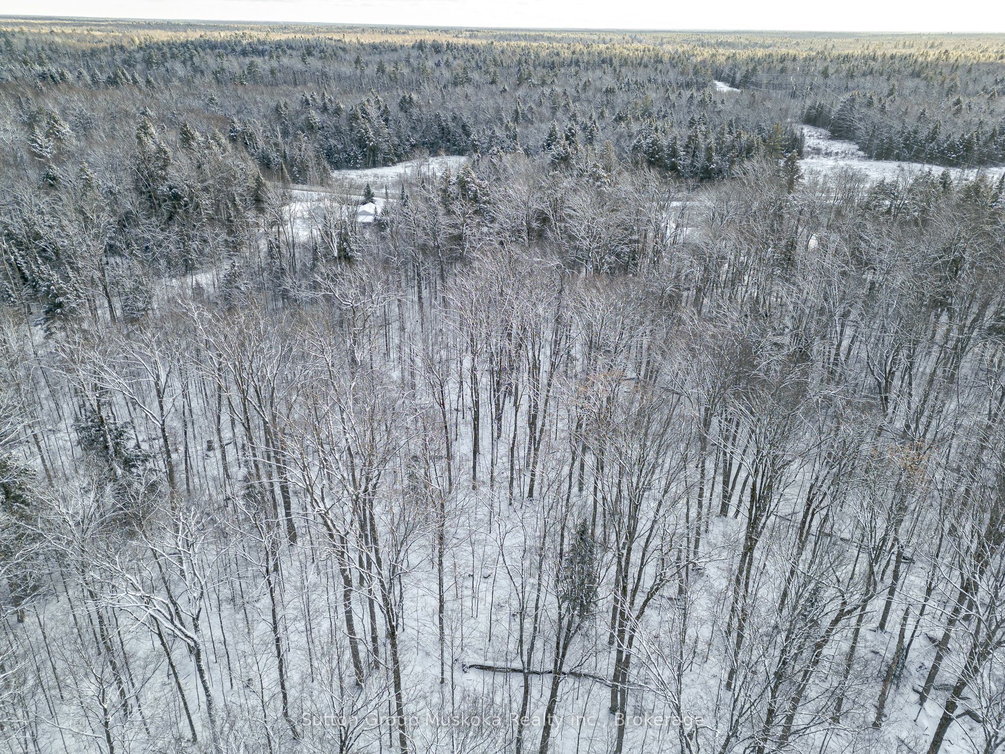 0 118 Highway E Property Photo 11