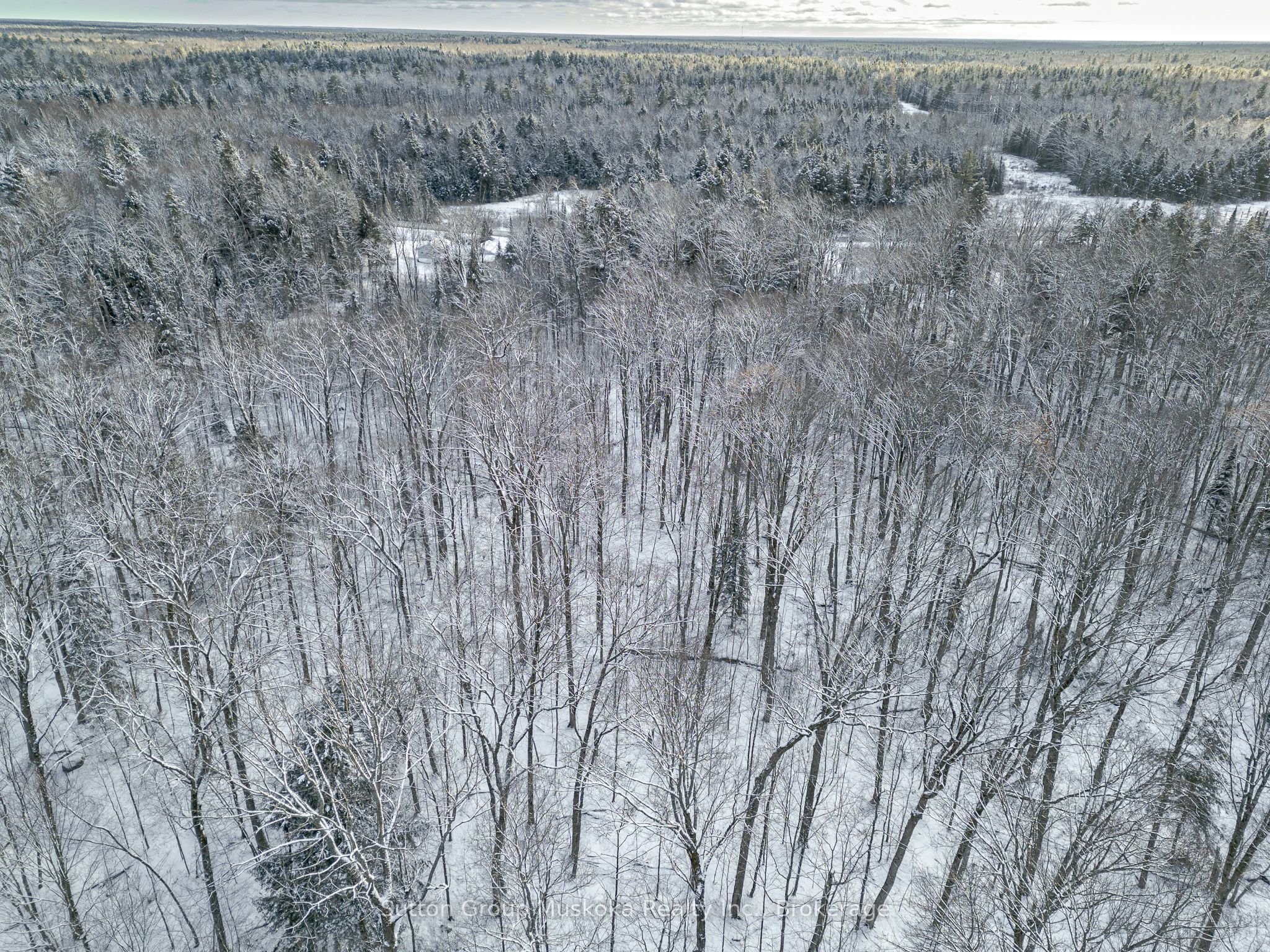 0 118 Highway E Property Photo 12
