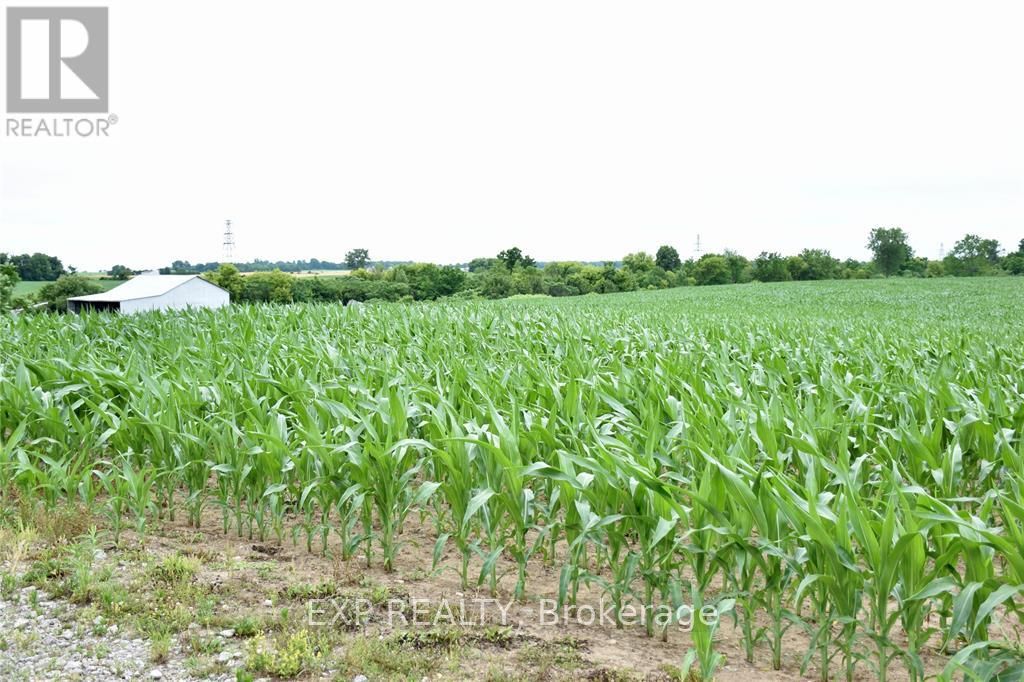 15686 Muirkirk Line Property Photo 1