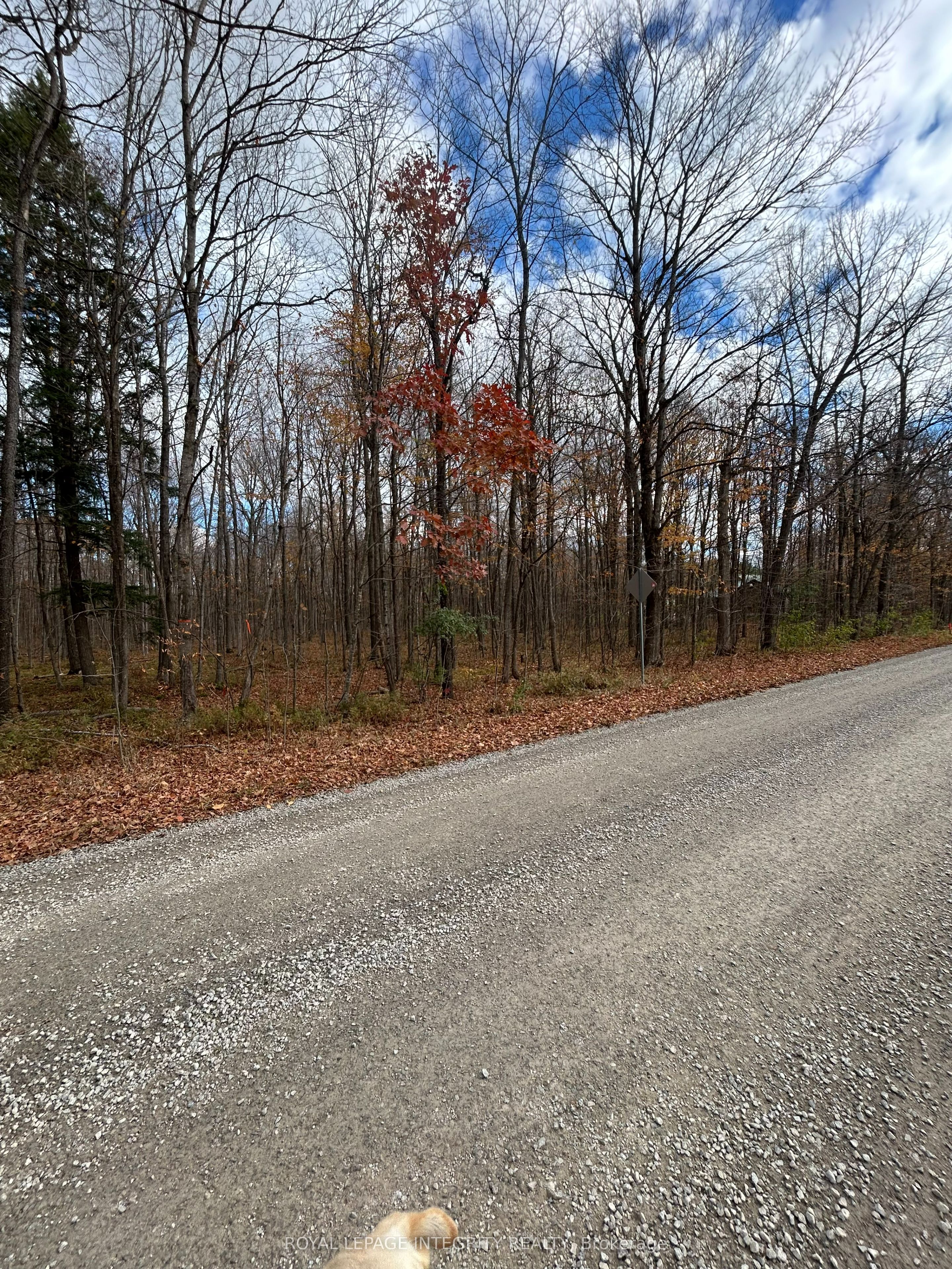 Pt Lt 17 Kyle Road Property Photo 1