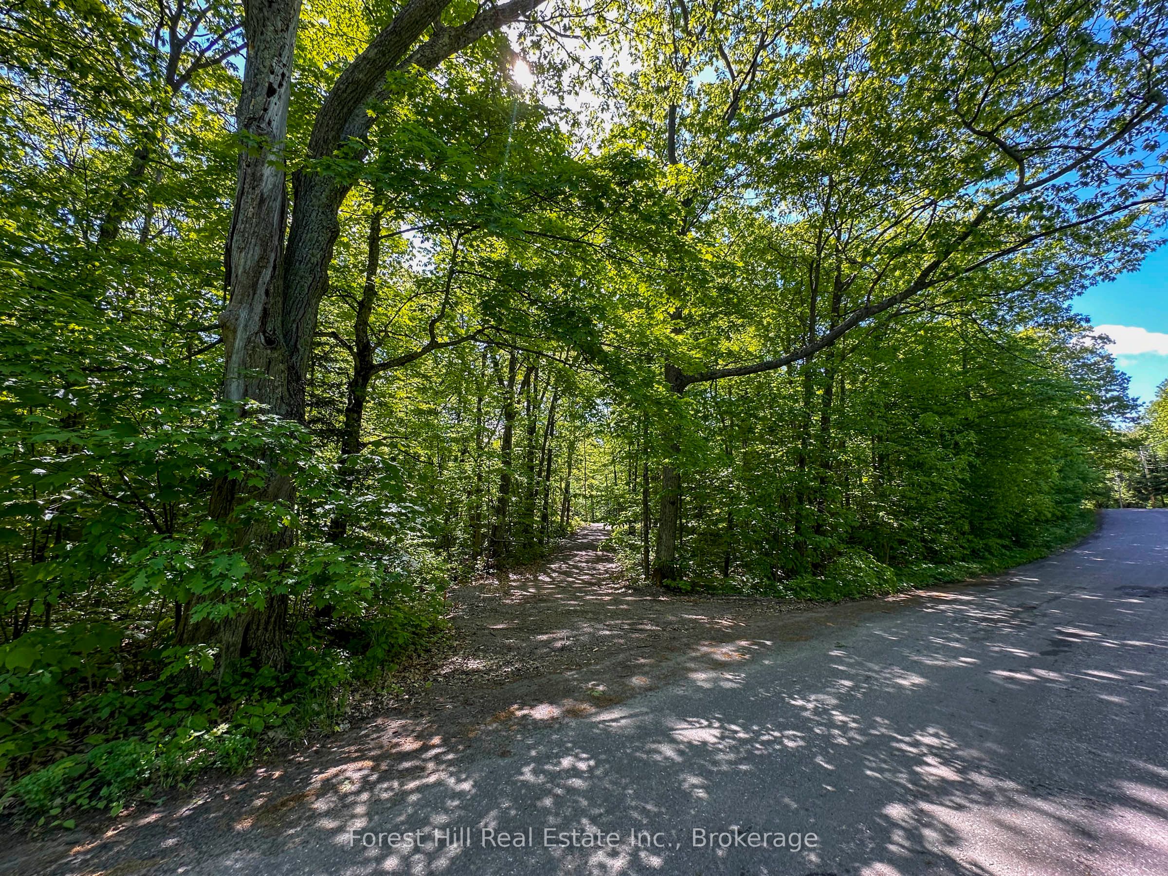 1066 S Muldrew Lake Rd Property Photo 3