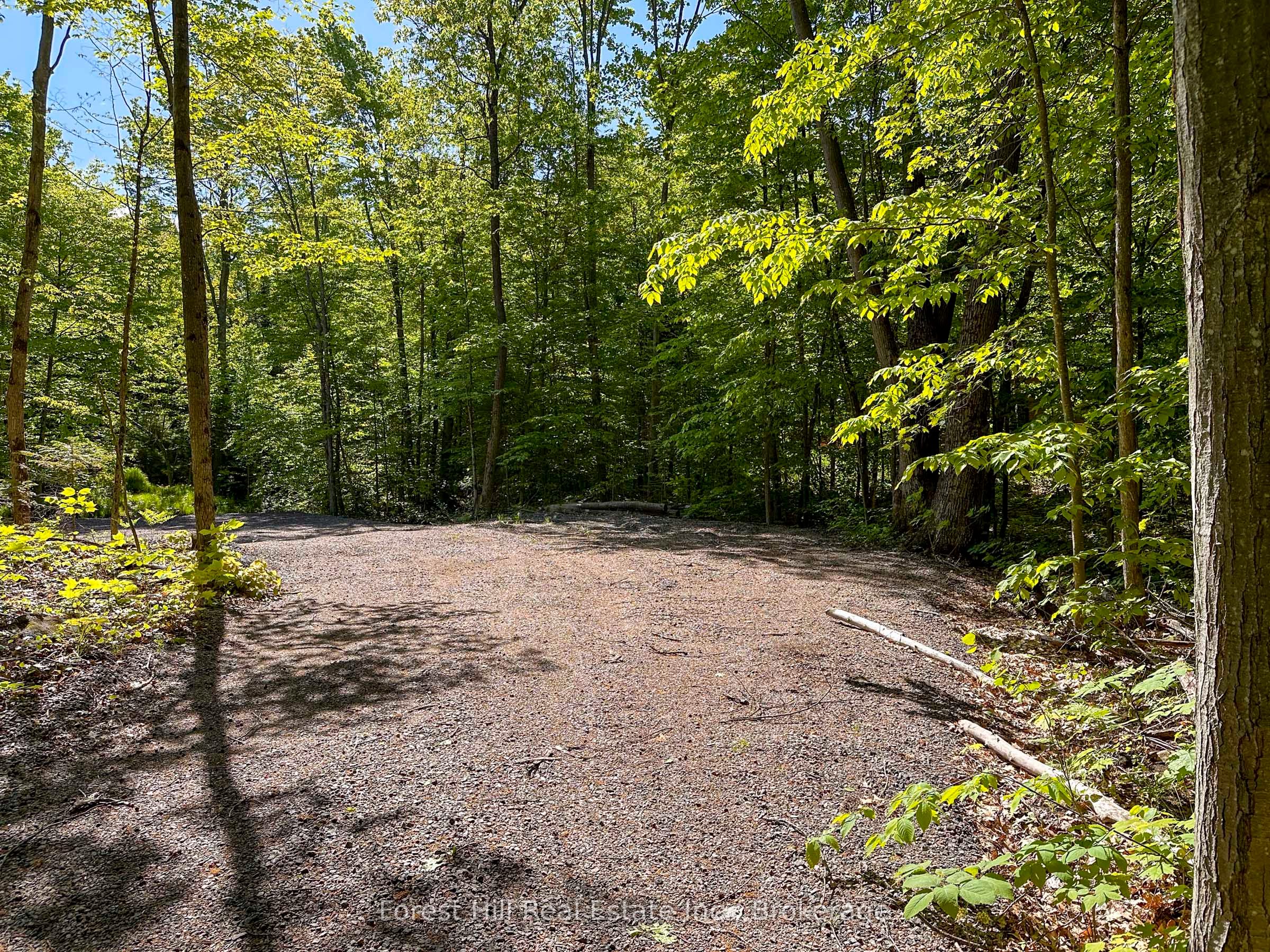 1066 S Muldrew Lake Rd Property Photo 4