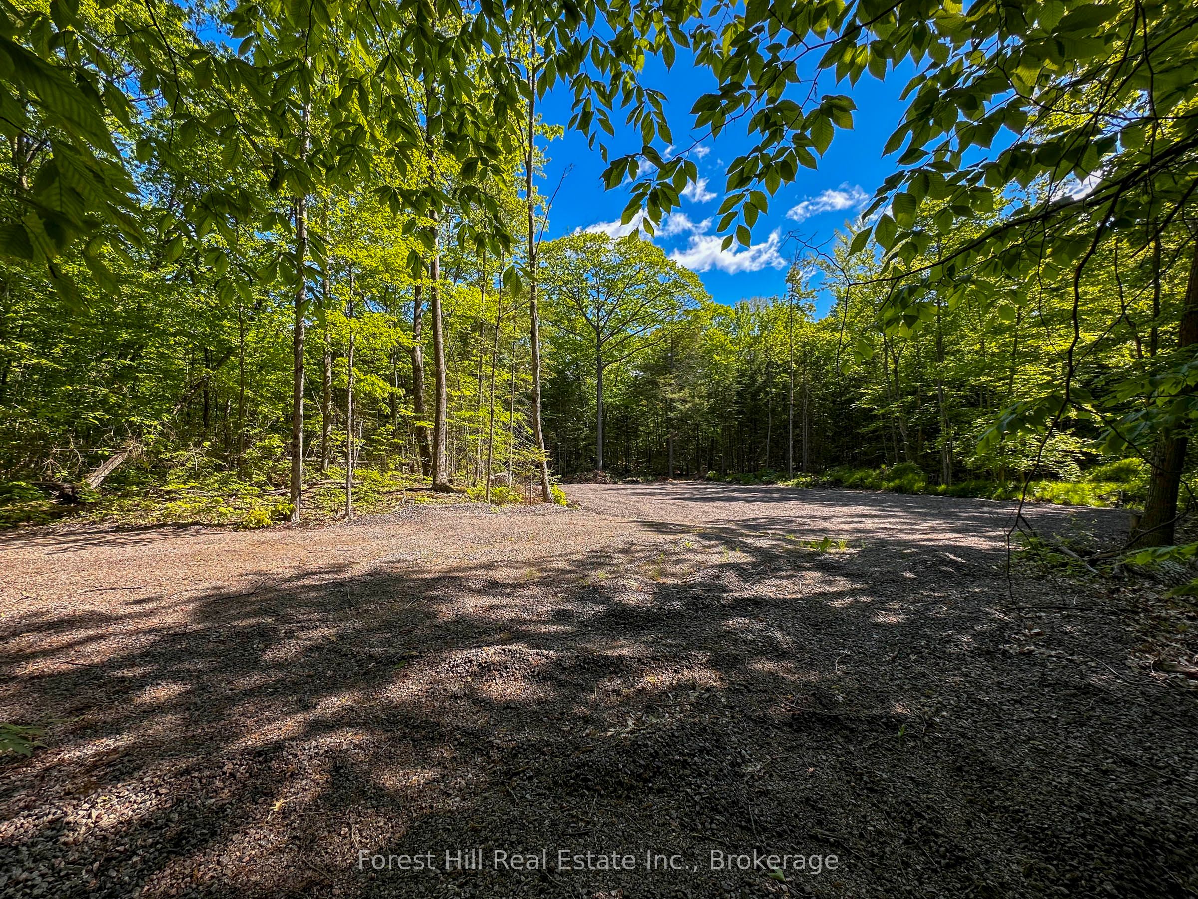1066 S Muldrew Lake Rd Property Photo 5