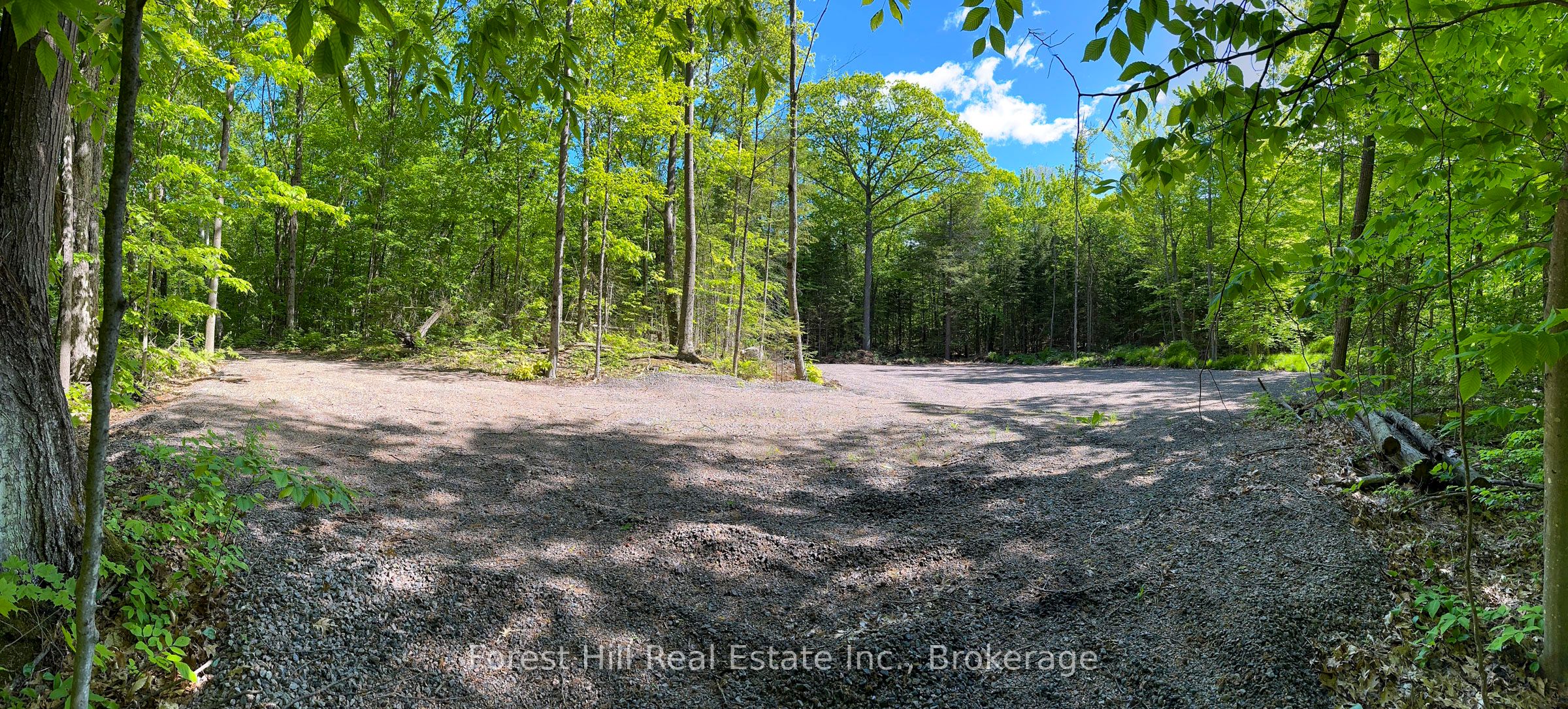 1066 S Muldrew Lake Rd Property Photo 6