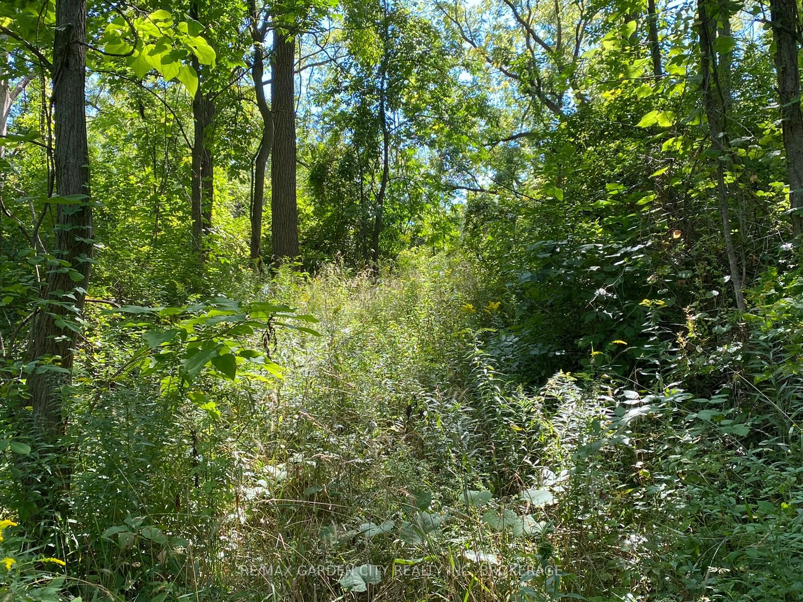 Pt Lt 3 Effingham Street Property Photo 7