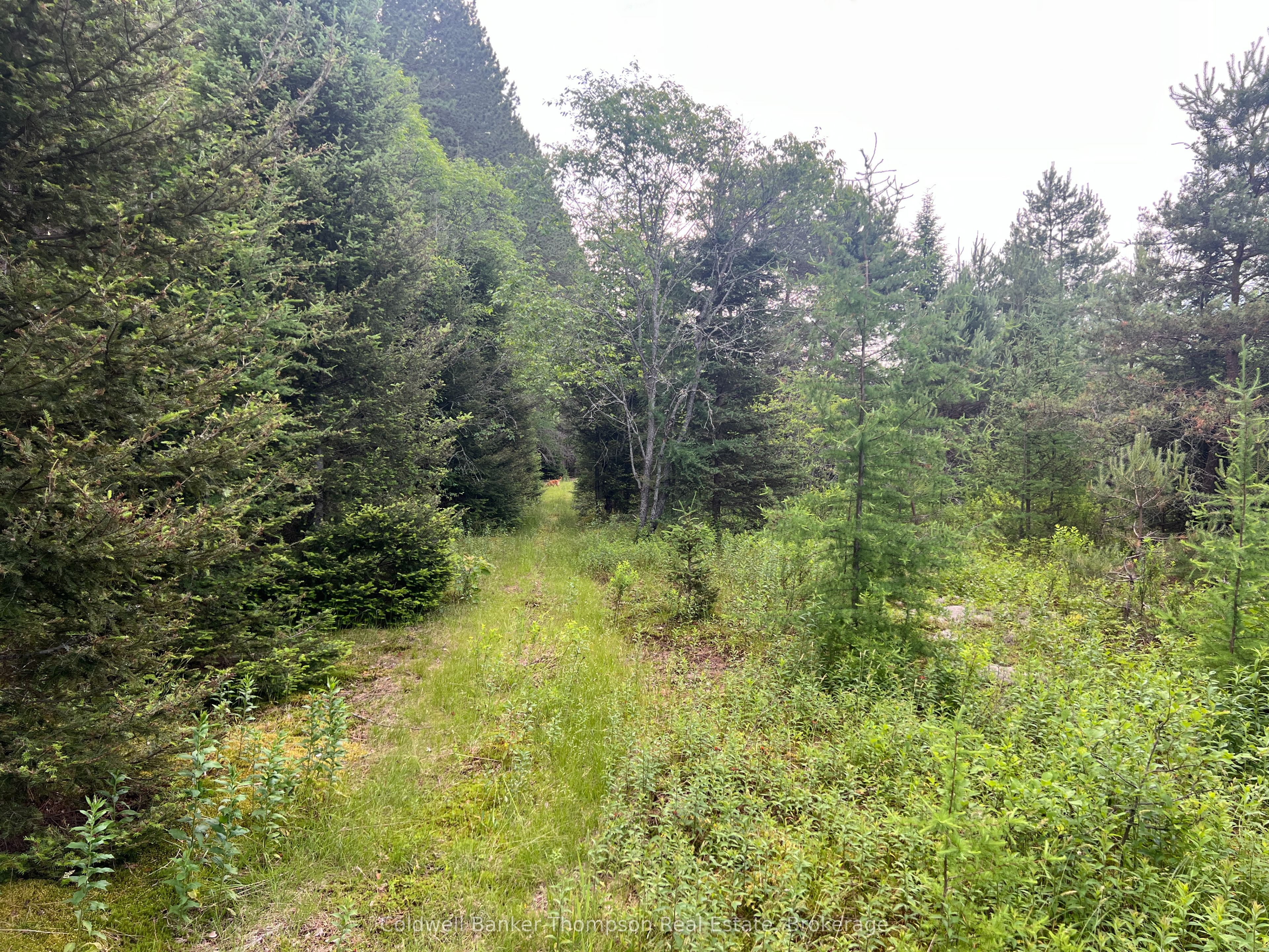 1152 Forest Lake Rd Property Photo 10