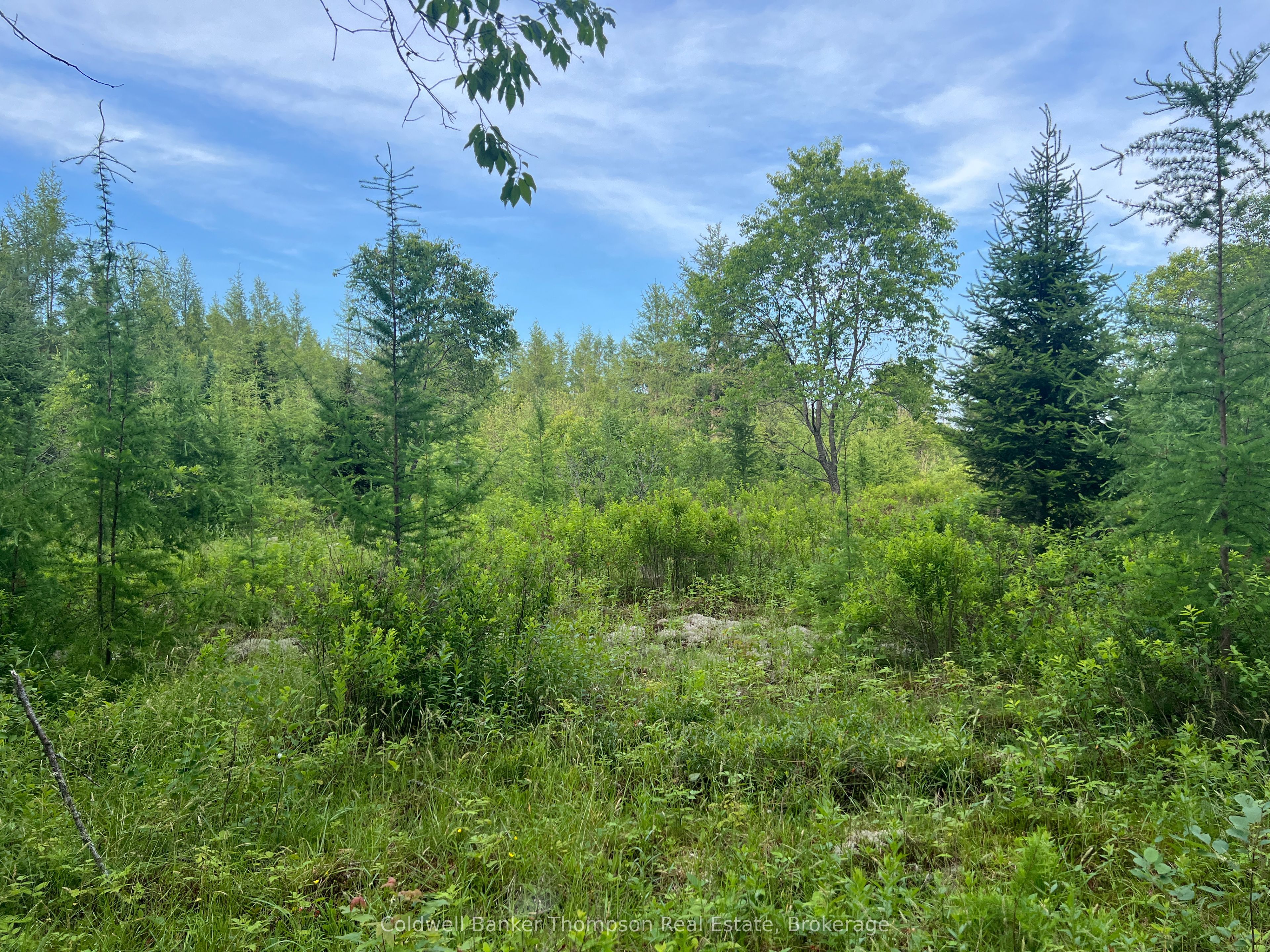1152 Forest Lake Rd Property Photo 11