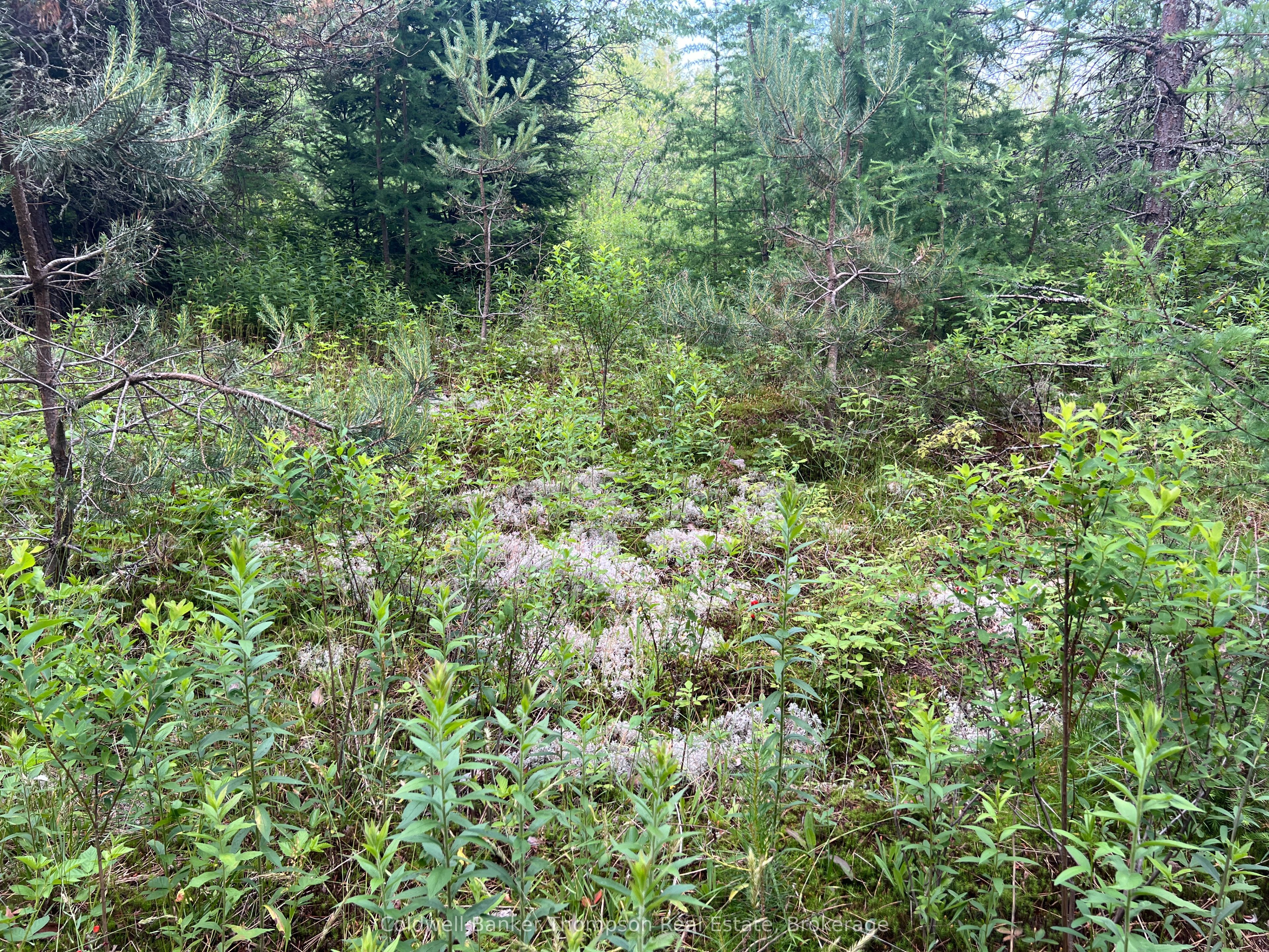 1152 Forest Lake Rd Property Photo 12